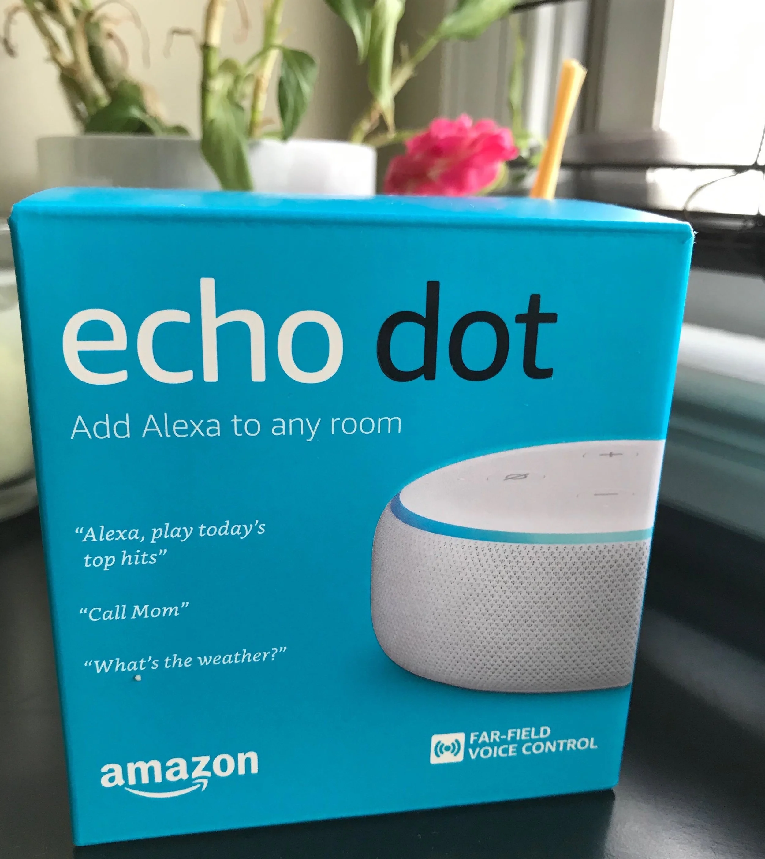 Alexa Developer Challenge