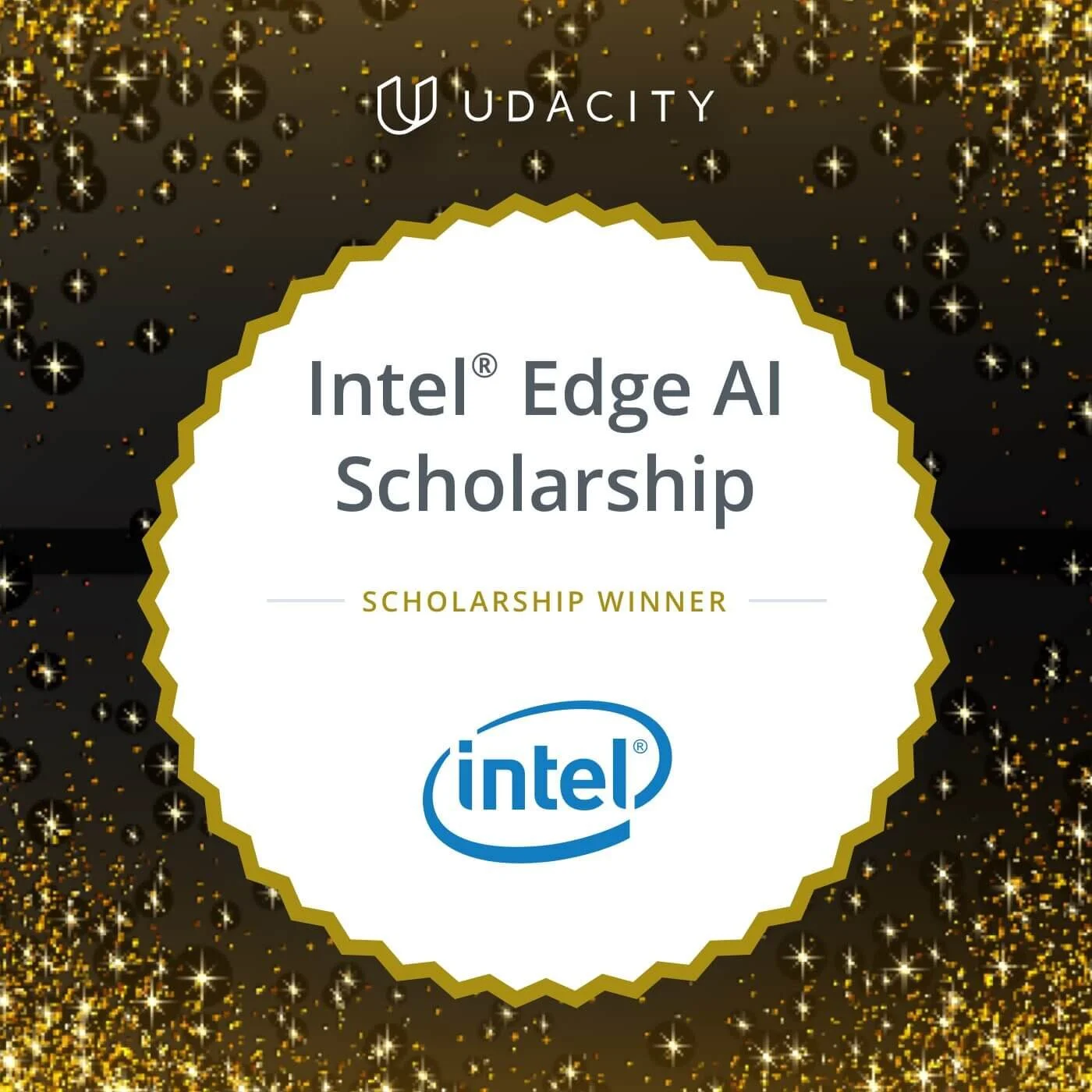 Intel Edge AI Scholarship