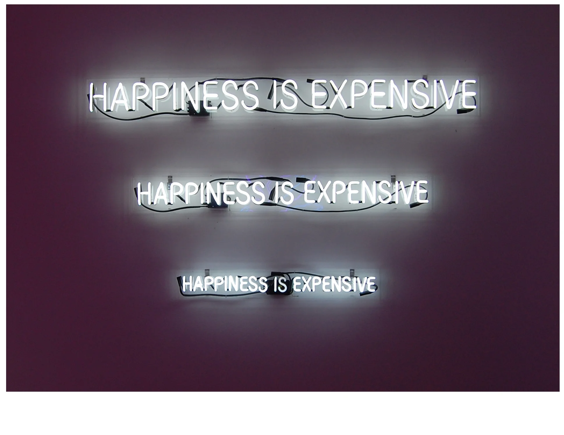 Happiness is Expensive, 2008