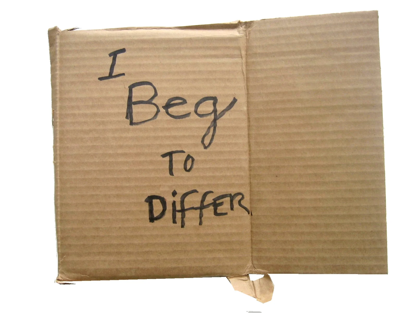 I-Beg-To-Differ-Alejandro-Diaz-cardboard.JPG