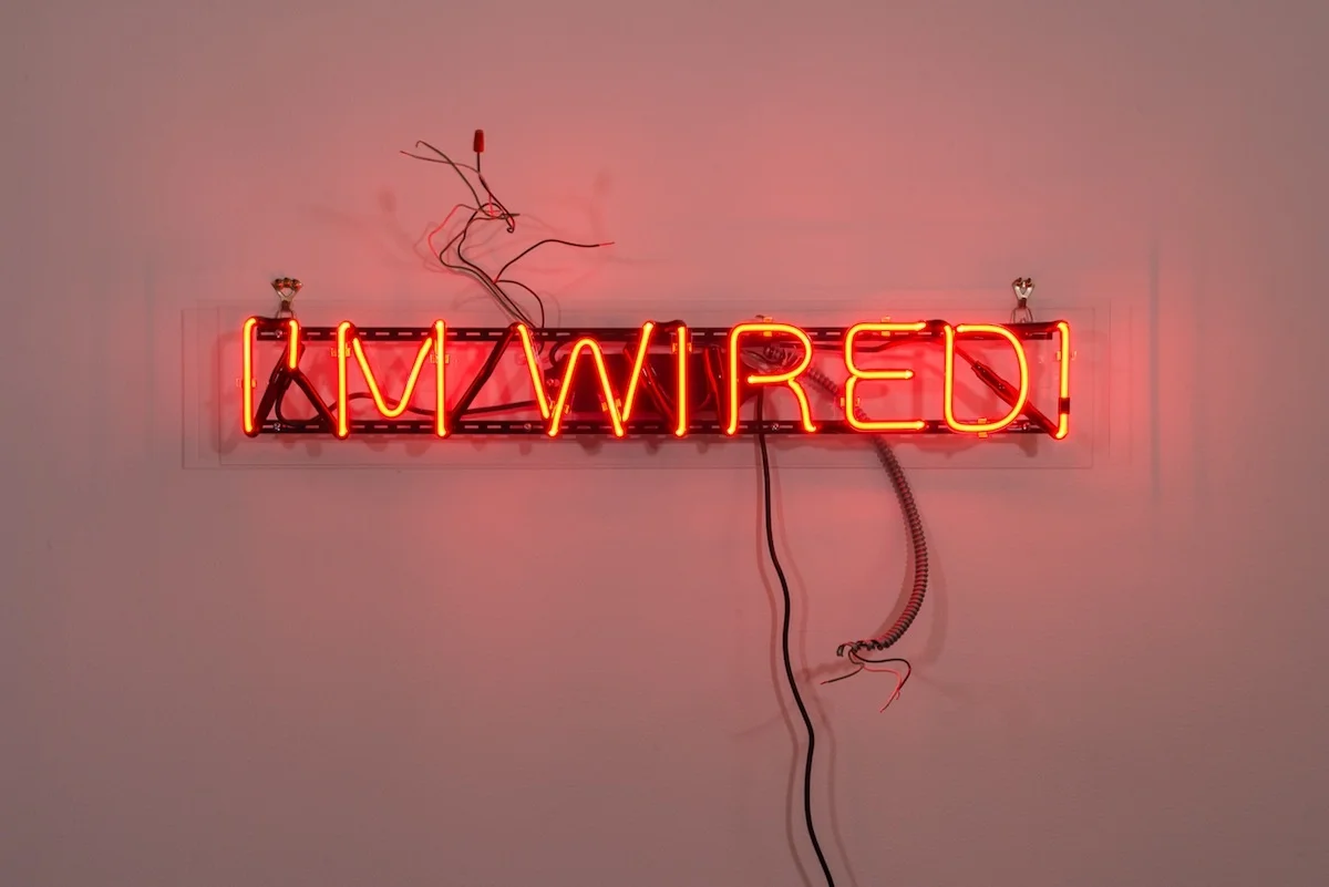 I'm Wired!, 2013
