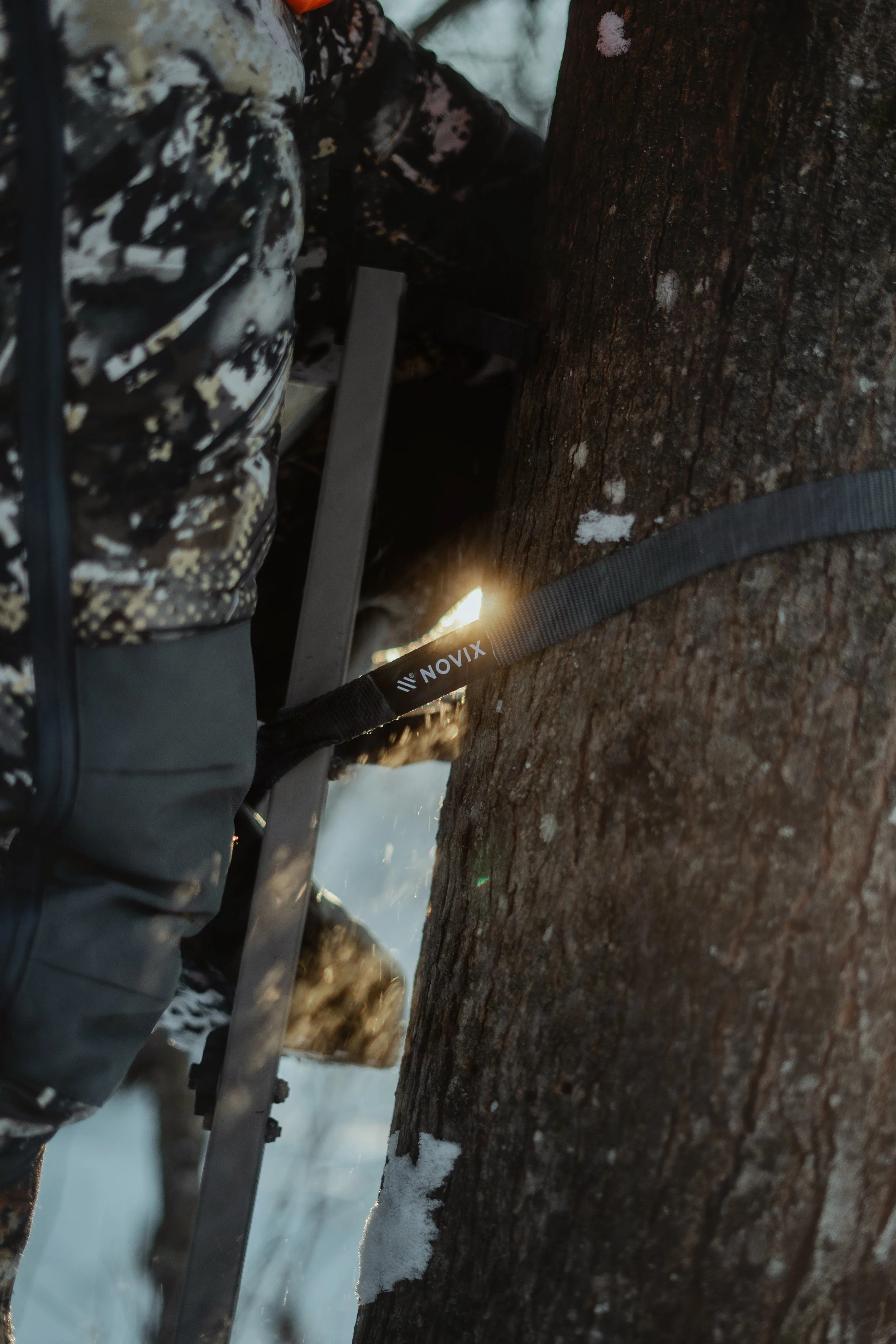 12-13-25_NOVIX_RENEE FLATLAND12-13-2025_RENEE F-4.jpg