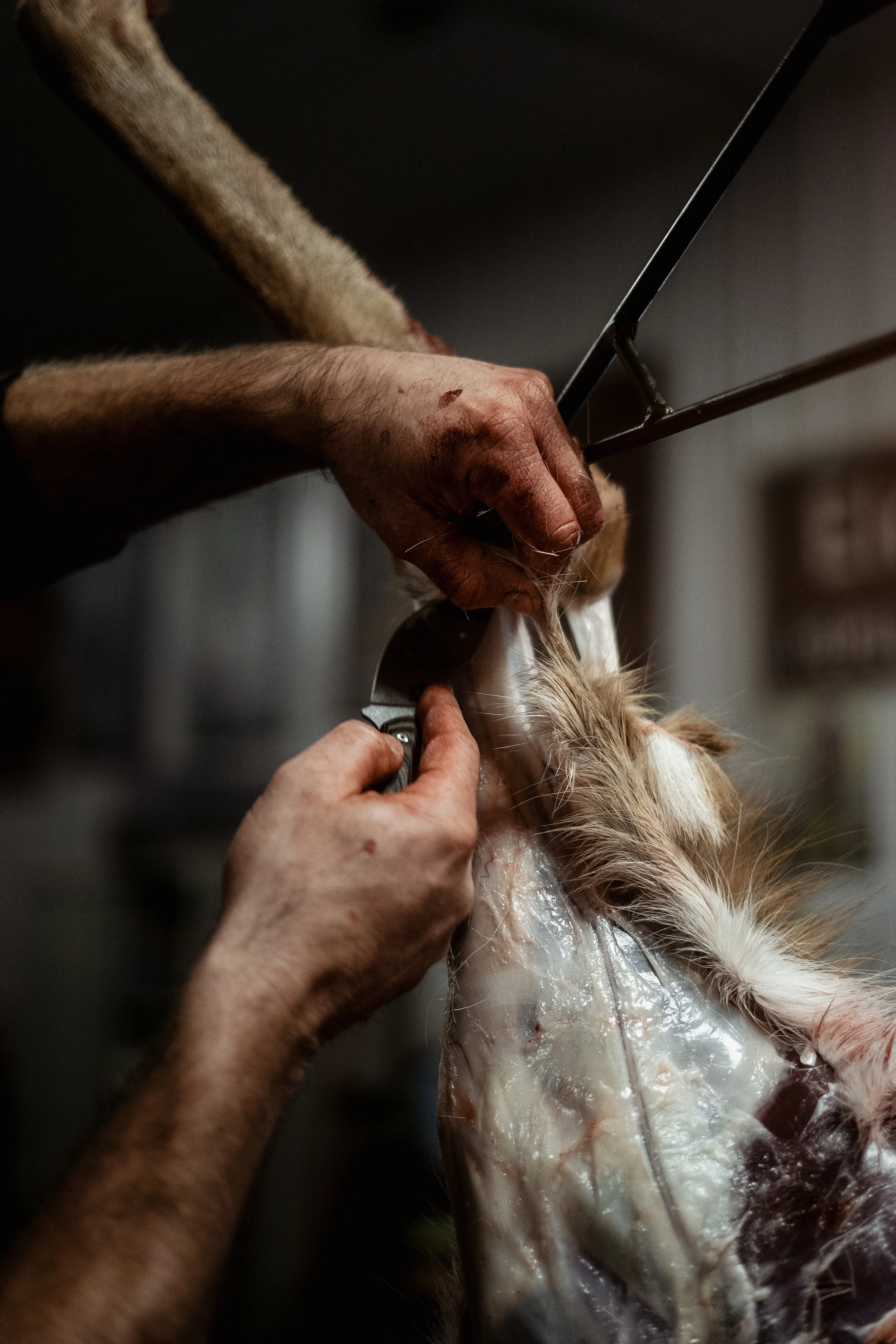 12-13-2025_MKC Packout Knife-1.jpeg