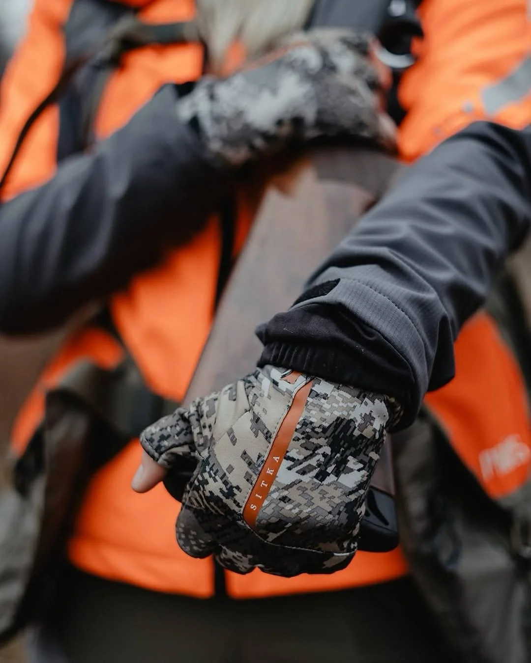 JPEG image-4CE6-B371-DC-0.jpeg