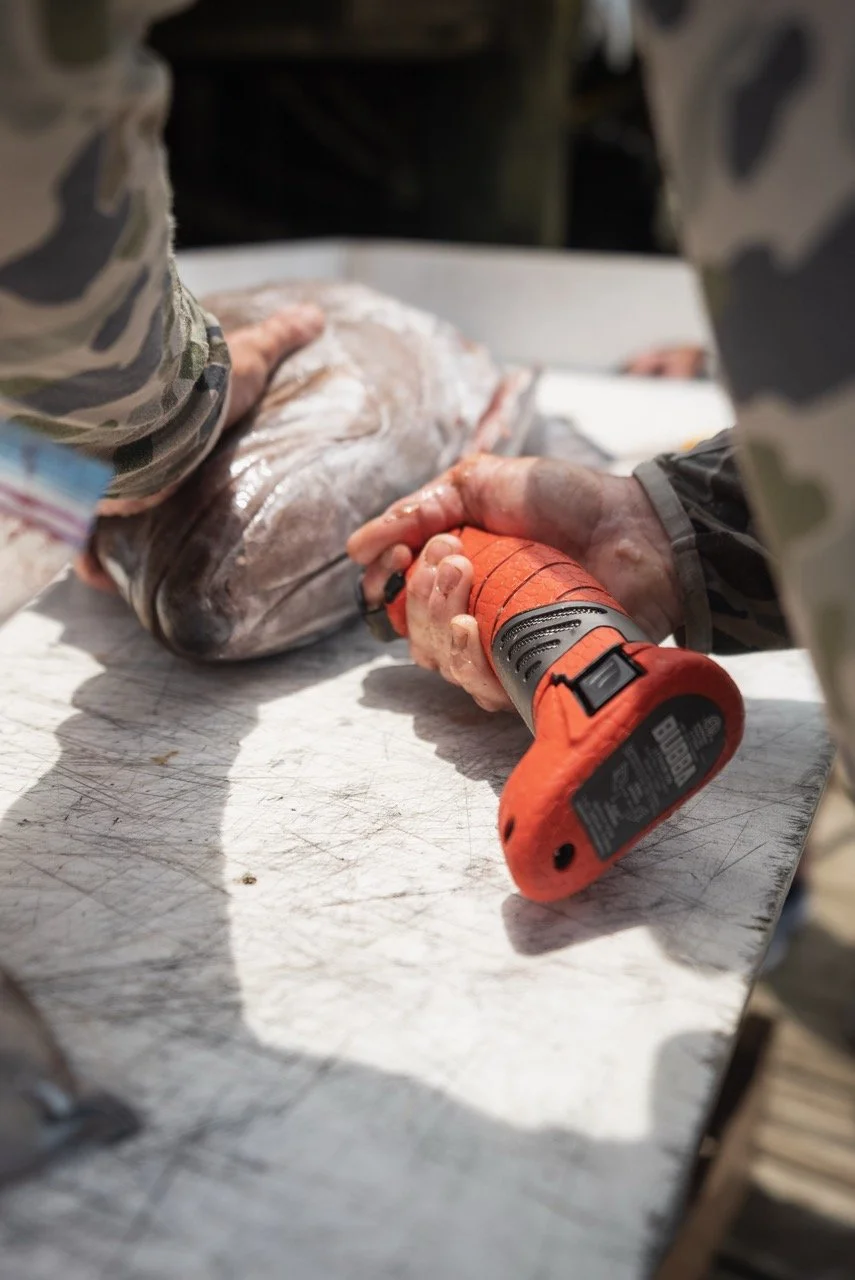 540-DSC04125 Large.jpeg