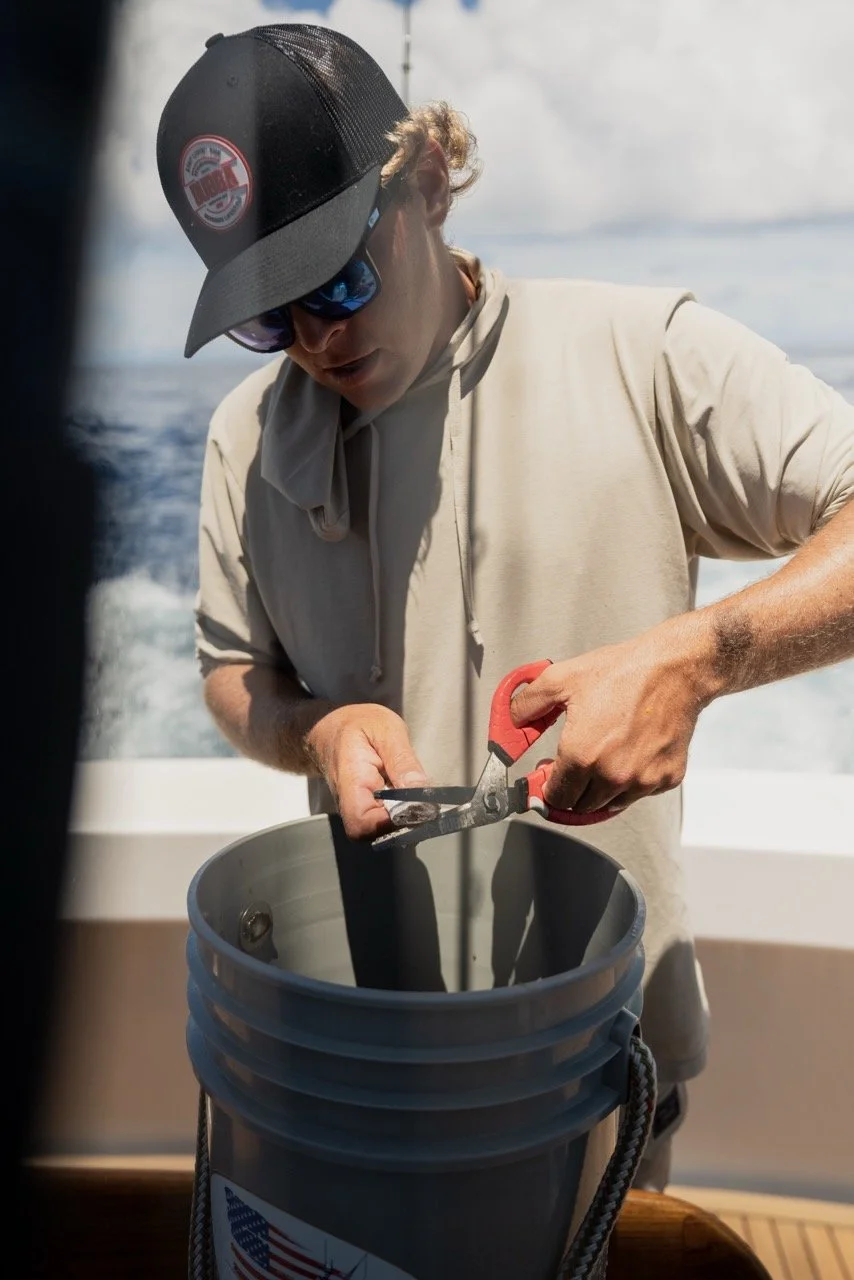 625-DSC00096 Large.jpeg