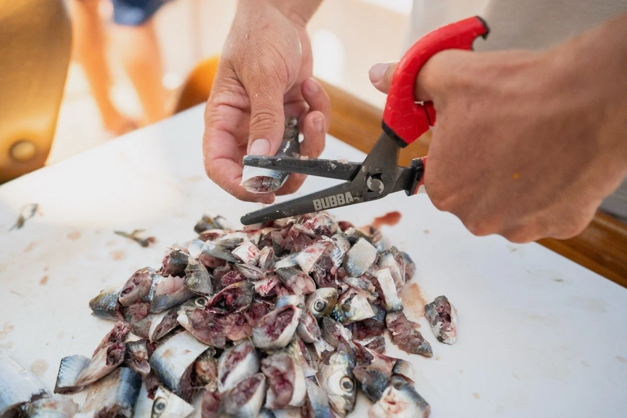 628-DSC00114 Large.jpeg