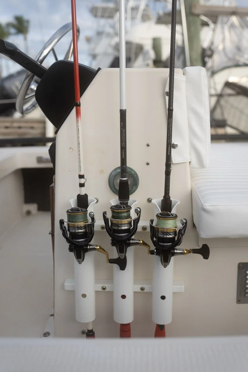 786-DSC00011 Large.jpeg