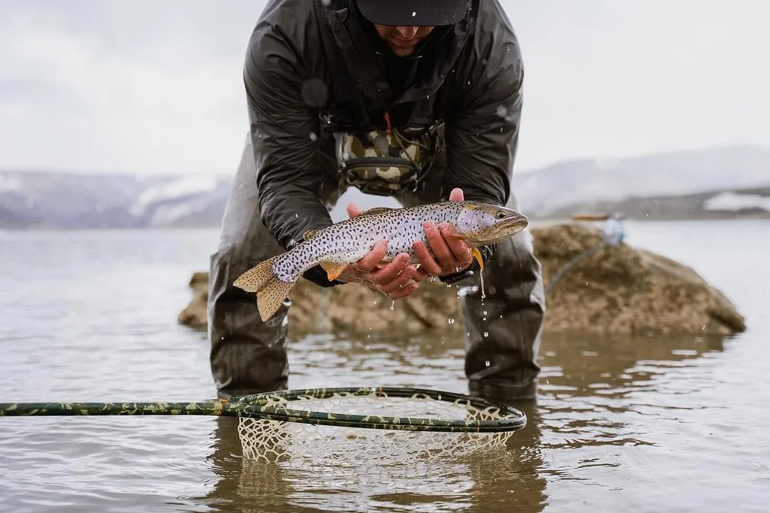 JPEG image-4E08-99AE-A3-0.jpeg