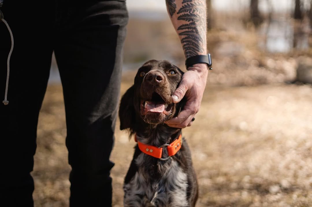 JPEG image-41F2-99EA-63-0.jpeg