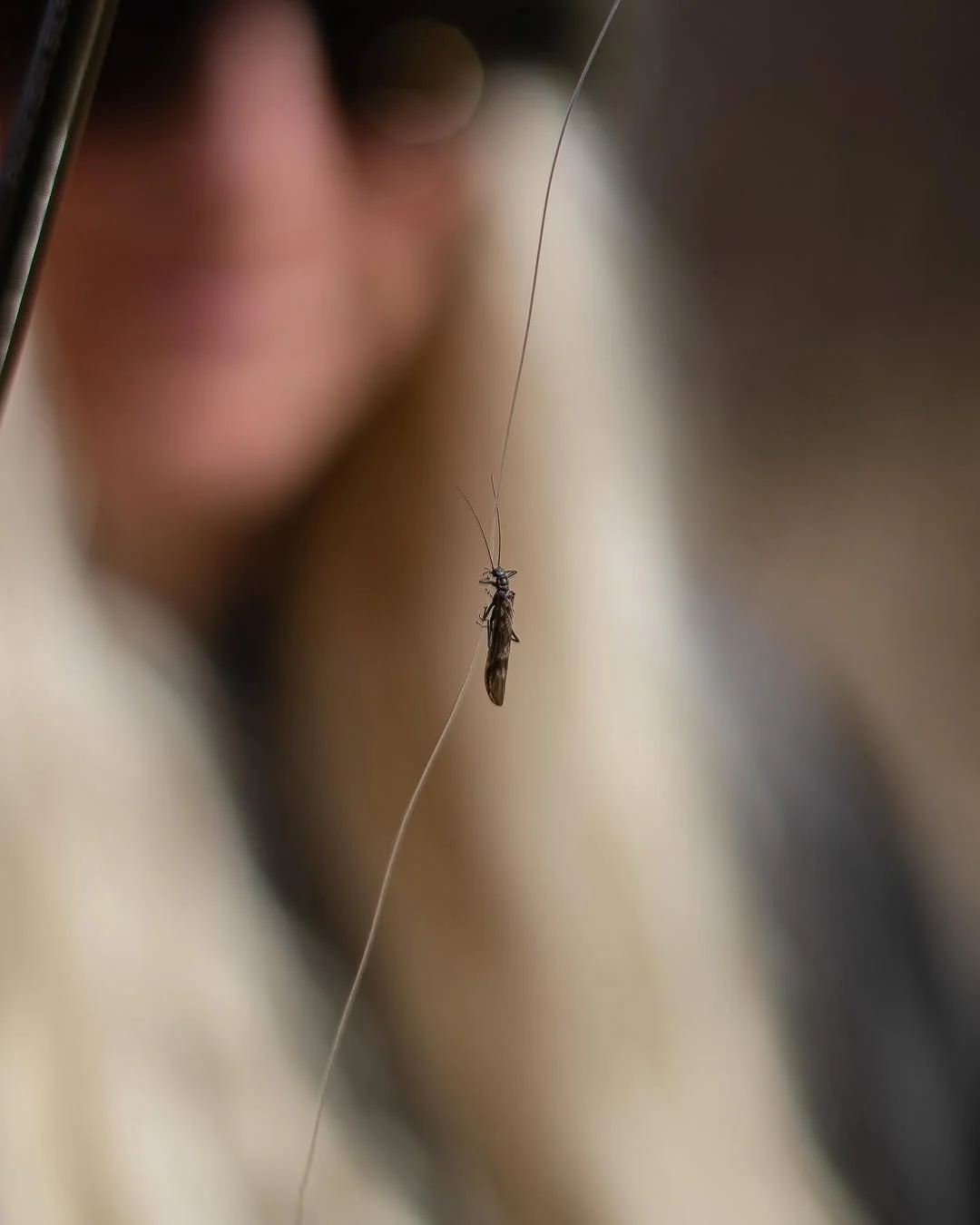 JPEG image-45E0-B360-26-0.jpeg