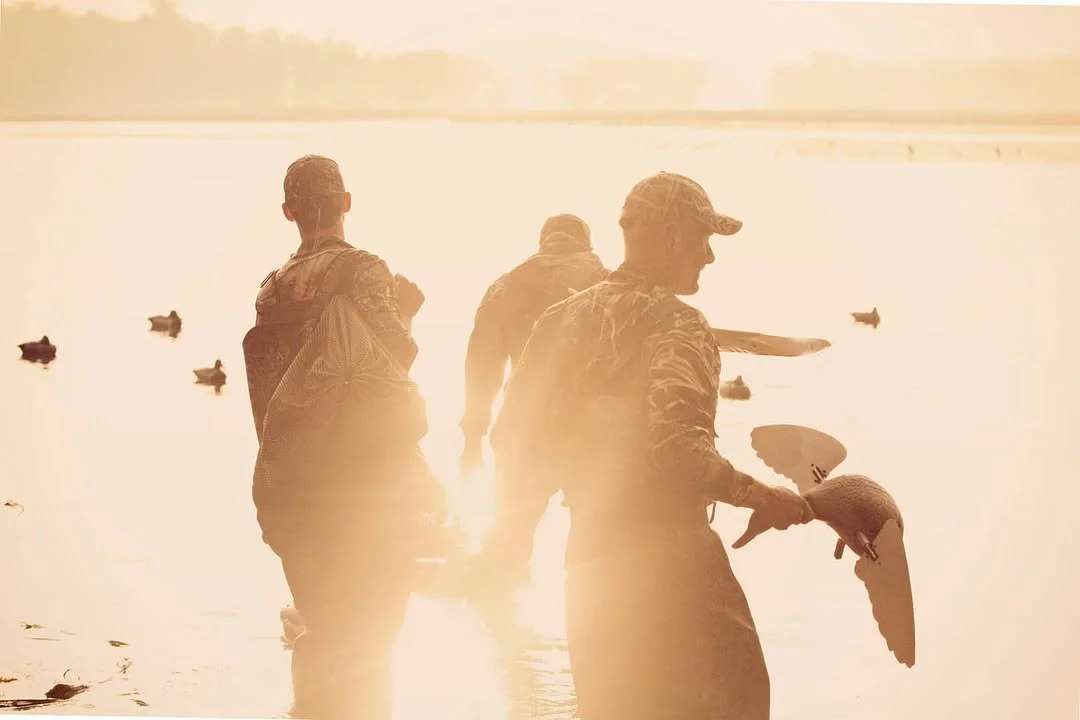 JPEG image-437A-B9A3-74-0.jpeg