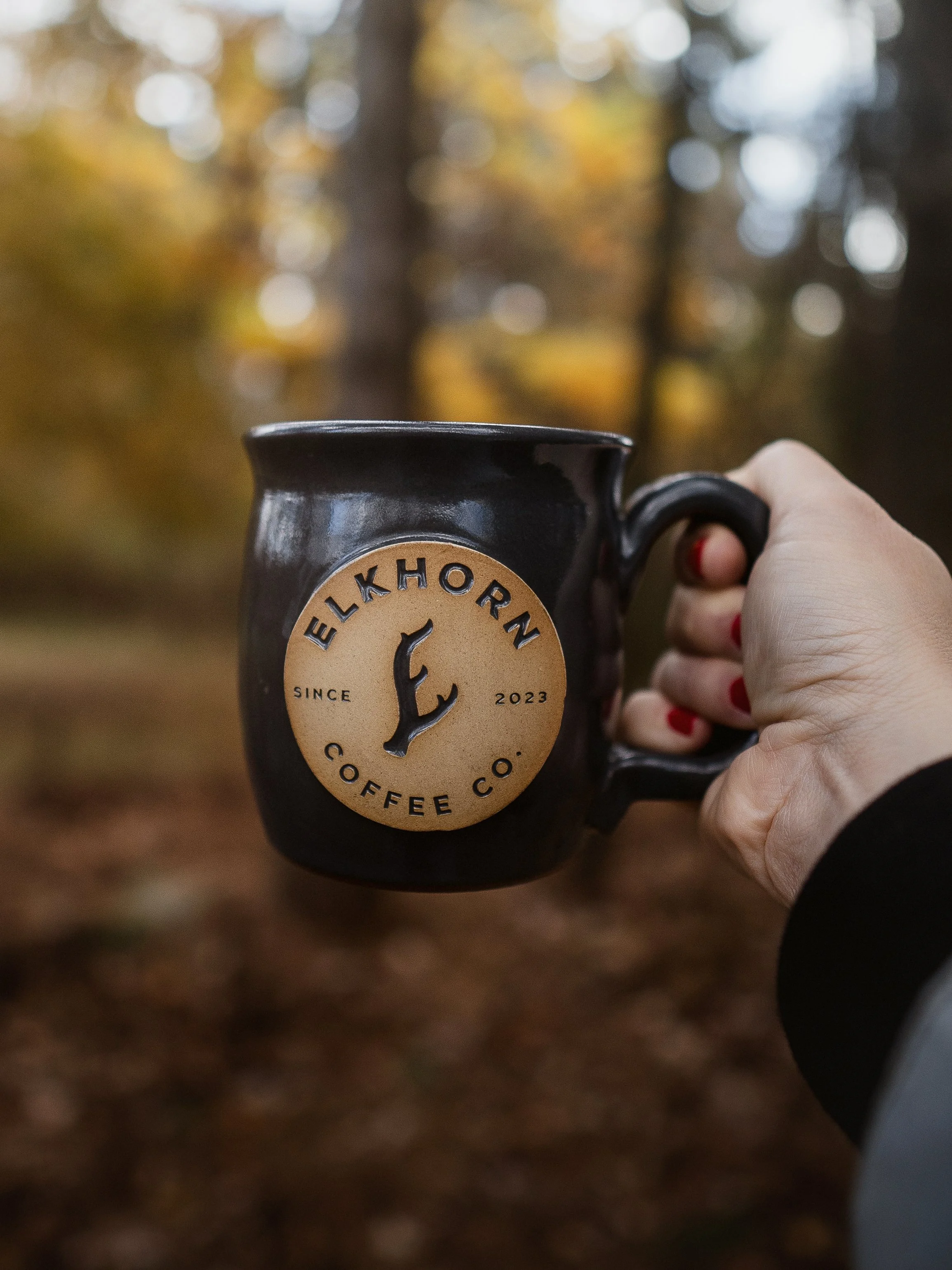 Nov 05 2025_Fall Stills-5.jpg