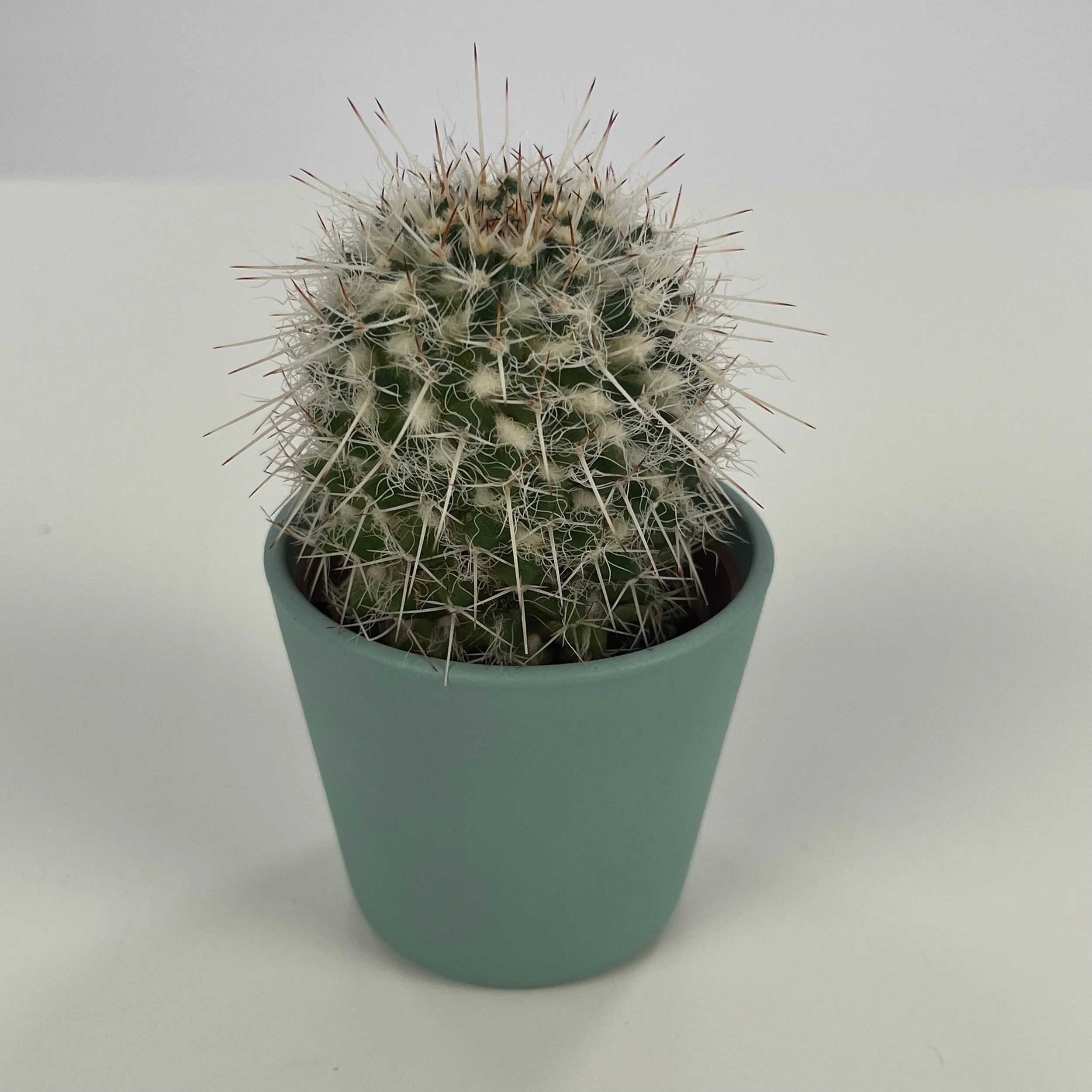 1FFEF5BC-FFE9-449C-8A62-A3D479AF2258