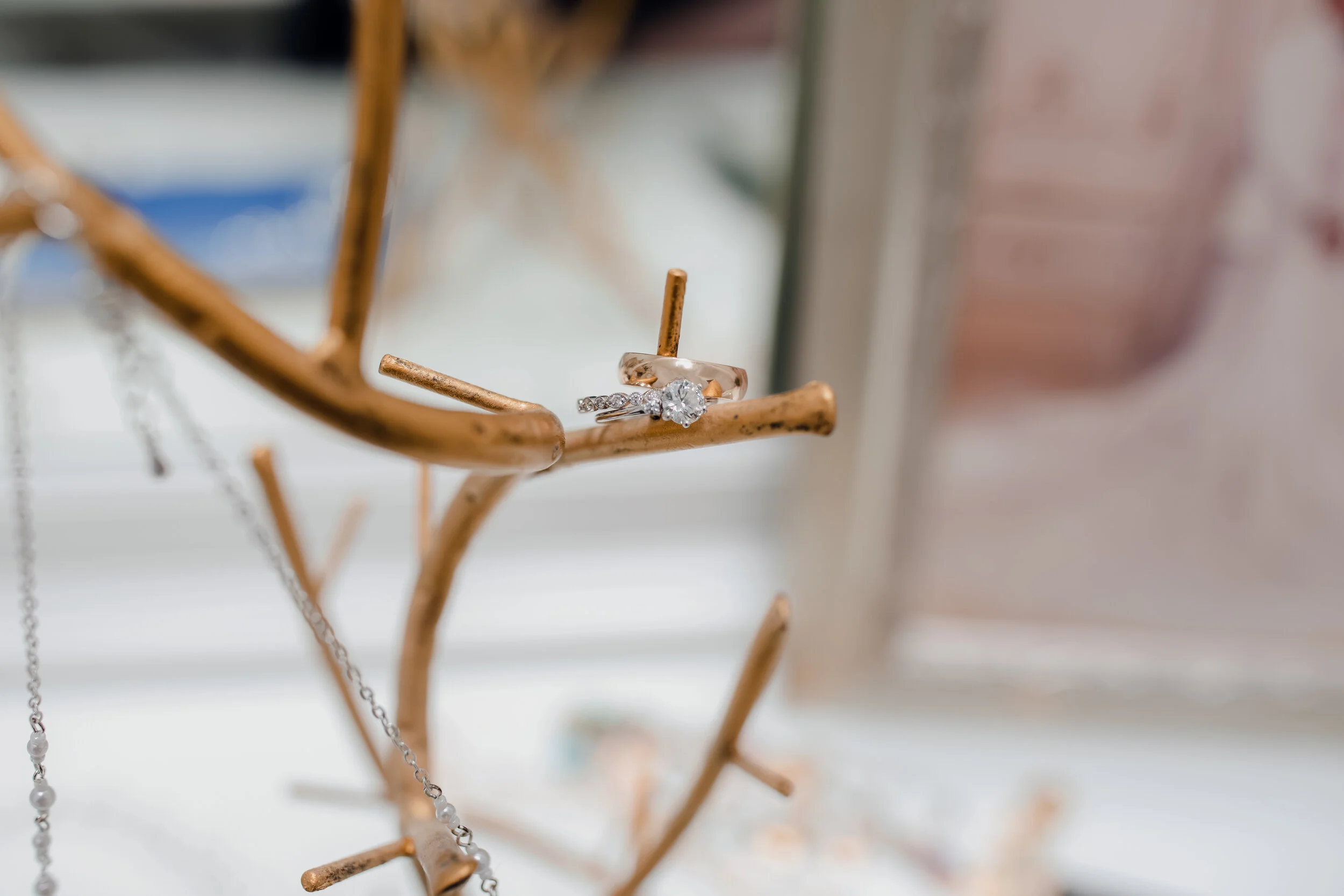 highlight_upload (5).jpg