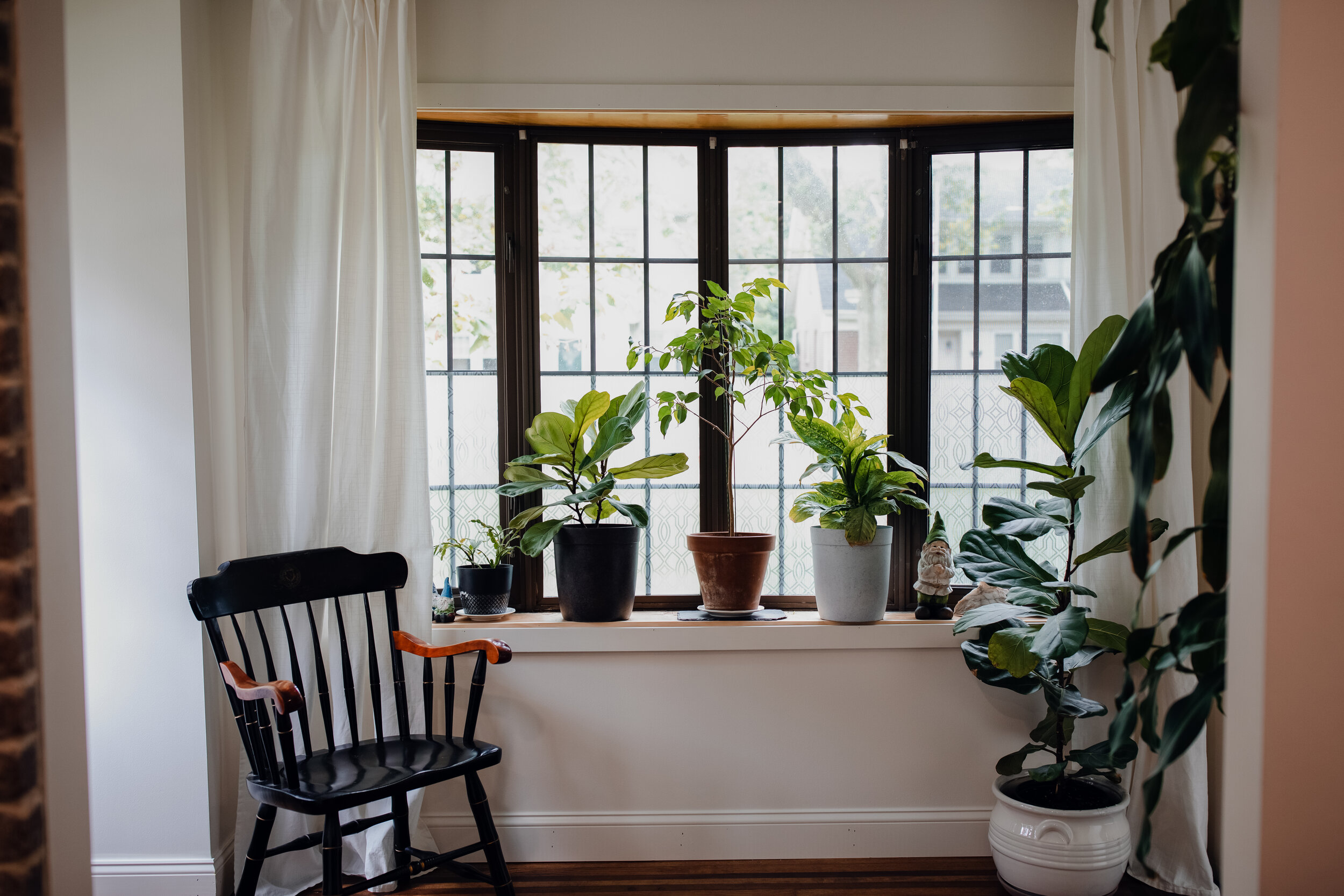 highlight_upload (21).jpg