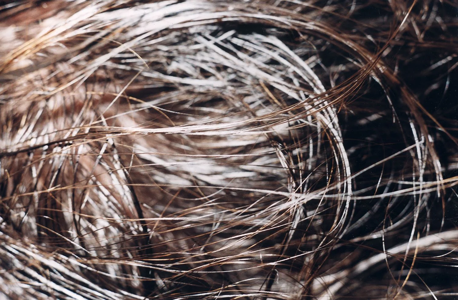 © Thibault Vancraenenbroeck