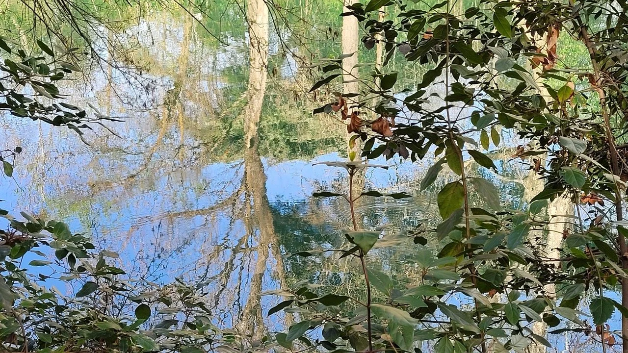 20230325_152604 copie - Grande.jpeg