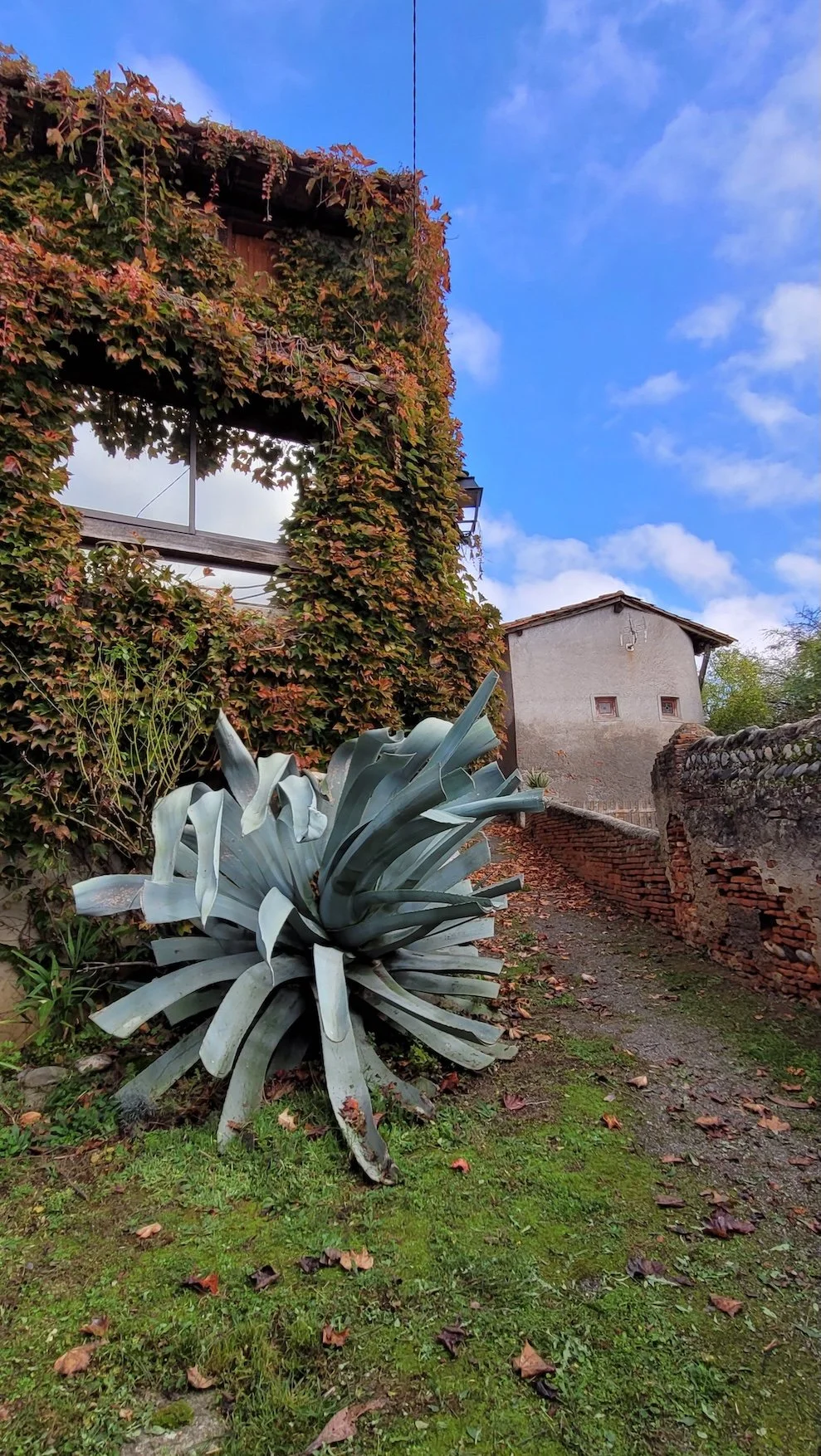 3. 20241107_105419.jpeg