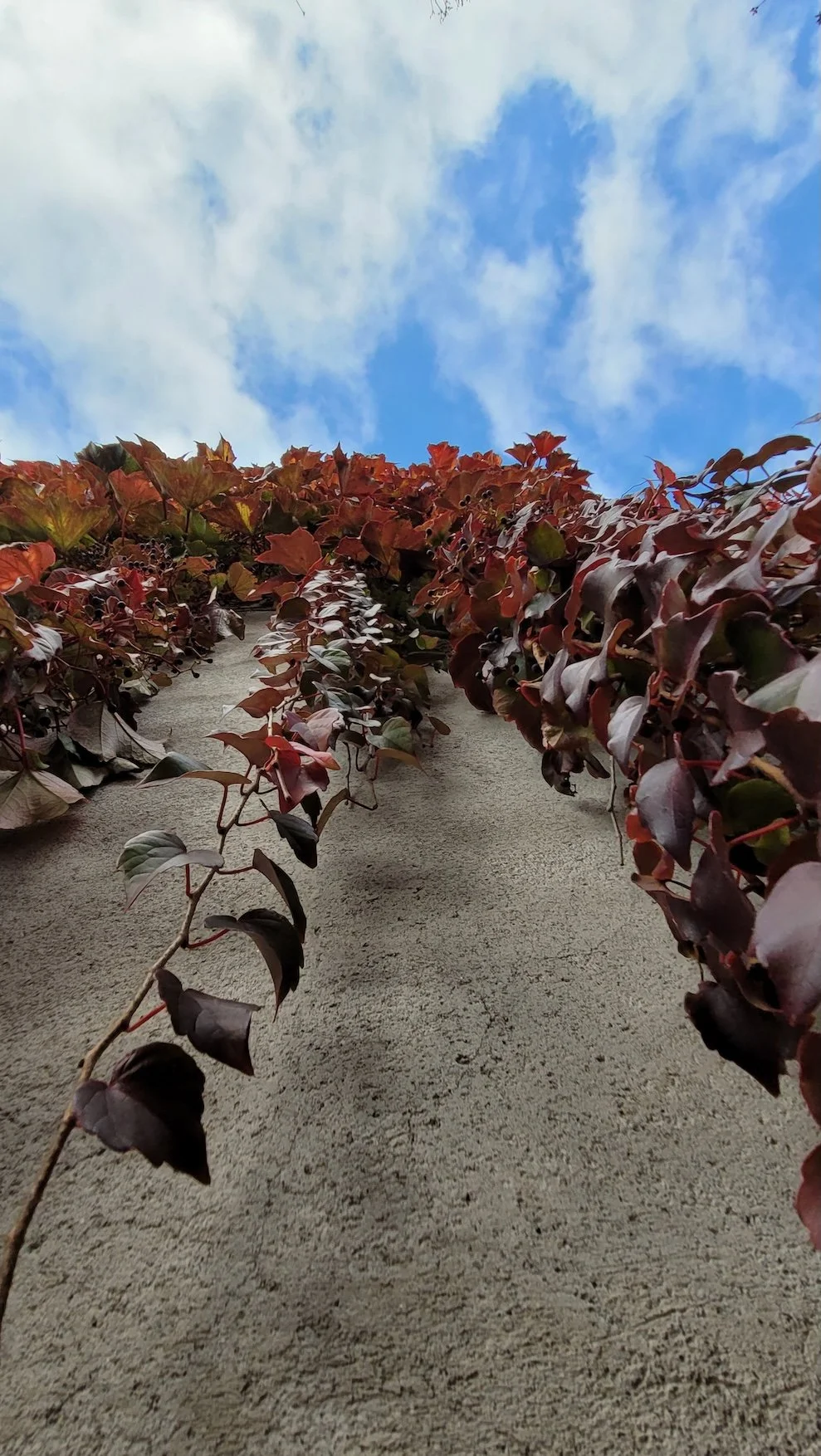 4. 20241107_105621 copie.jpeg