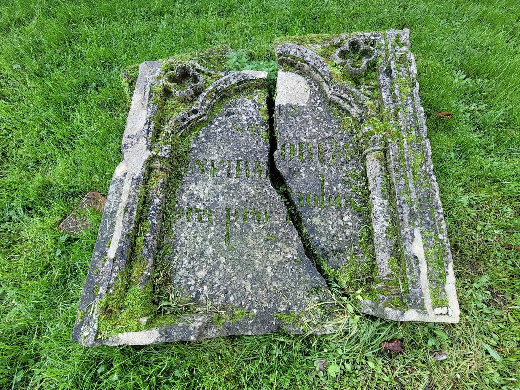 8. 20241107_110507 copie.jpeg