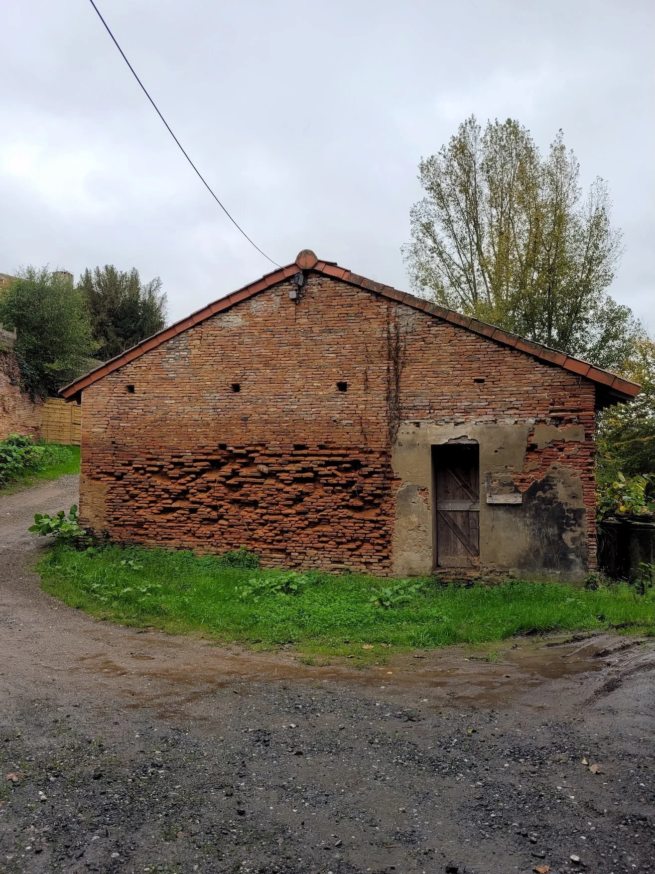 15. 20241109_160236 copie.jpeg