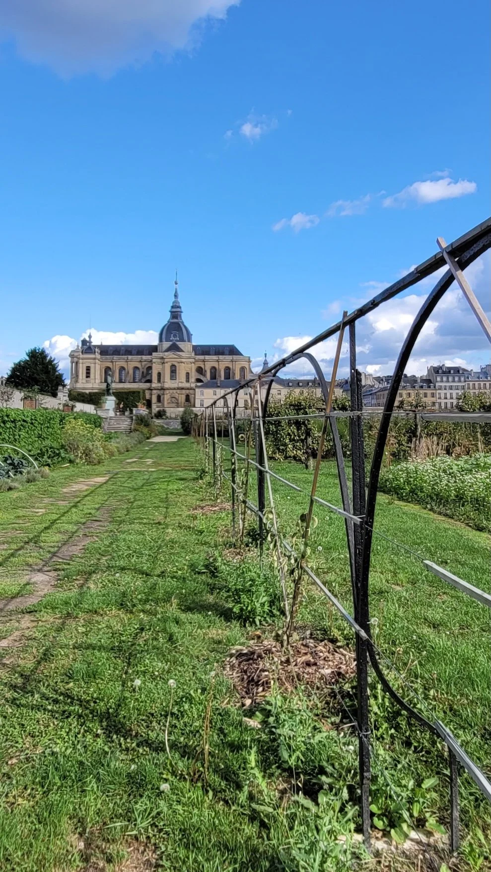 2. 20250905_172958.jpeg