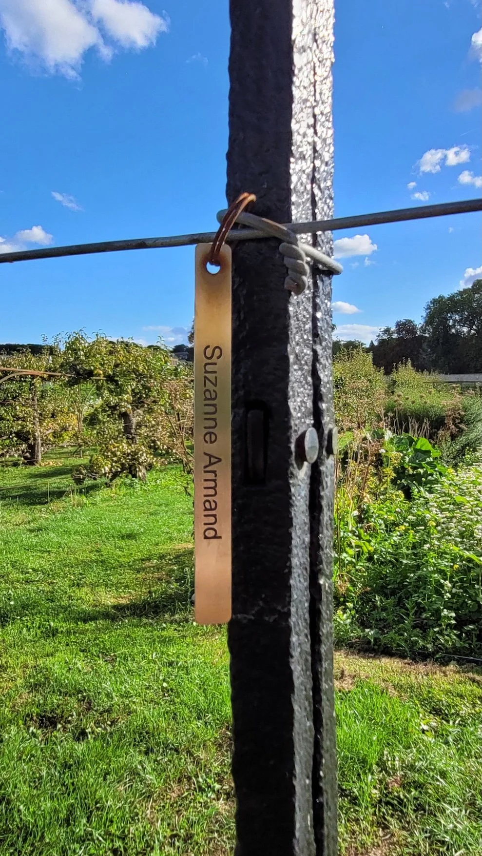 3. 20250905_173040.jpeg