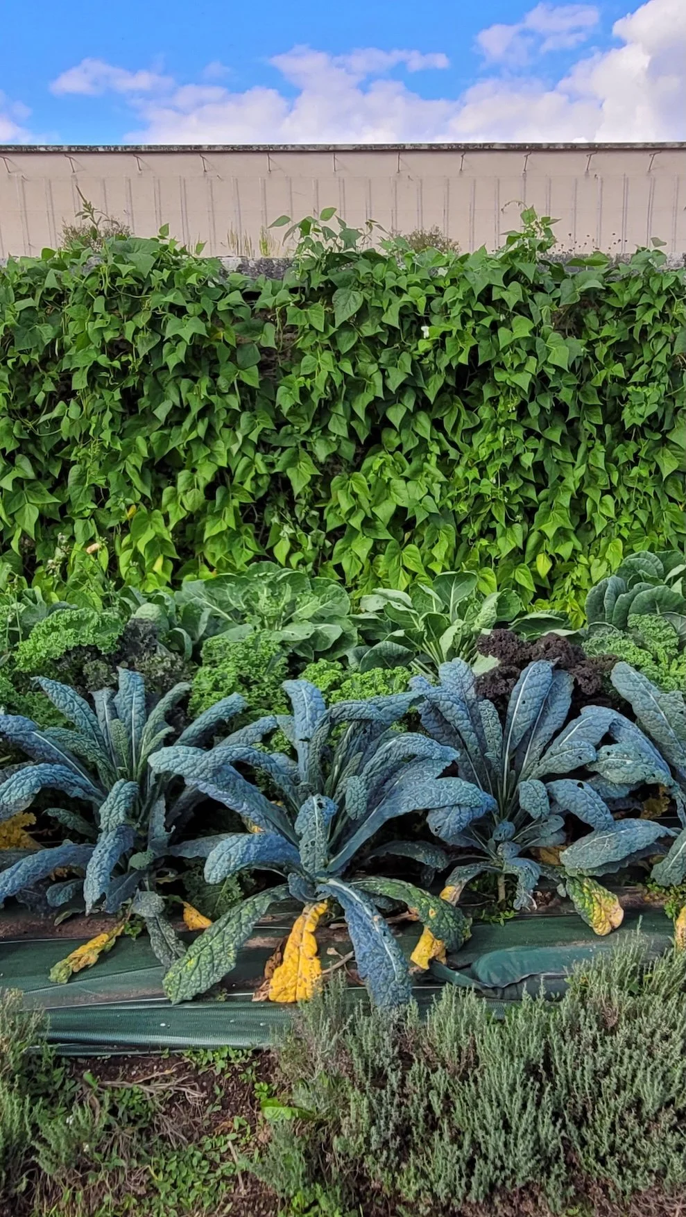 4. 20250905_172908.jpeg