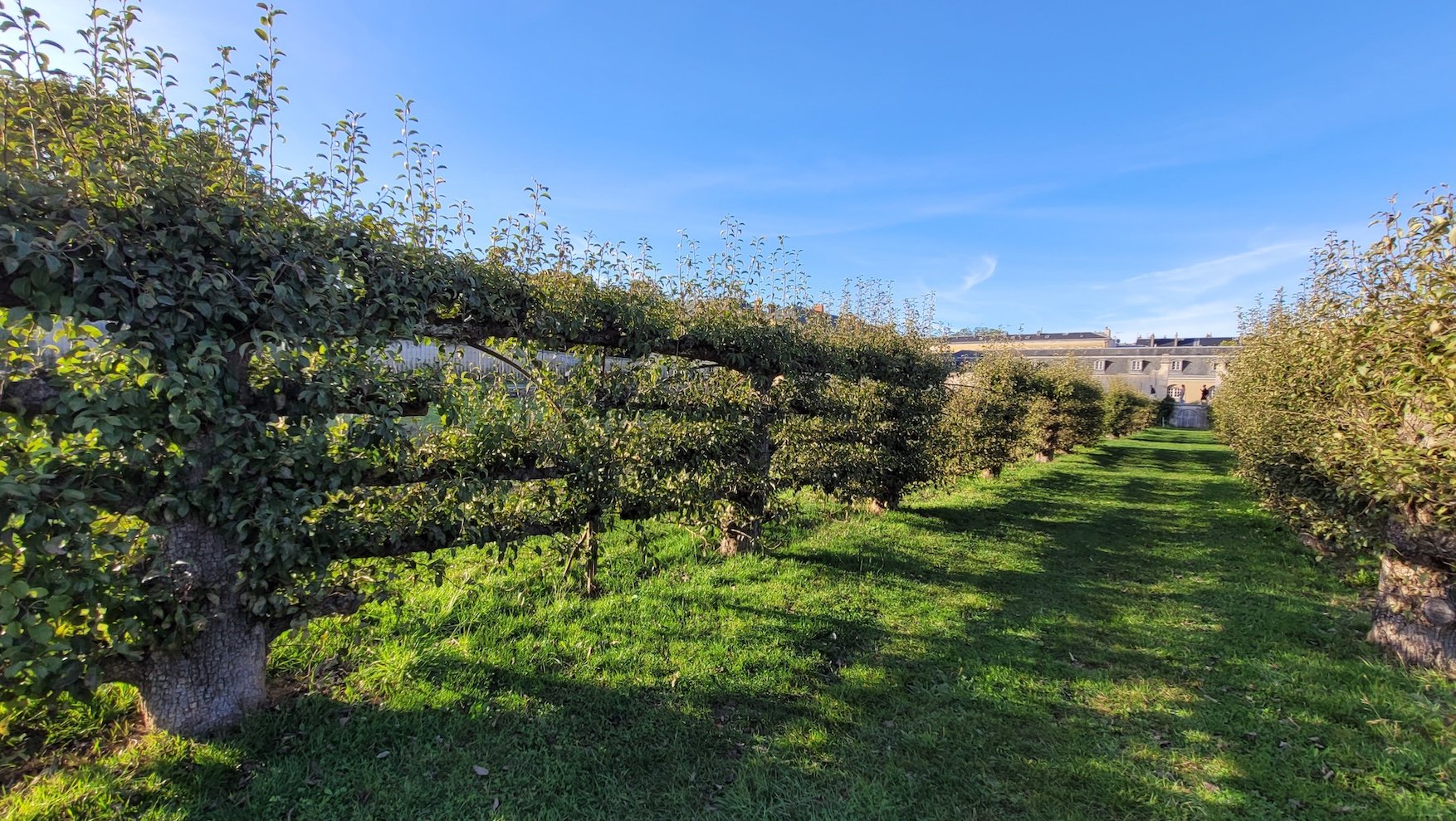 5. 20250906_185548.jpeg