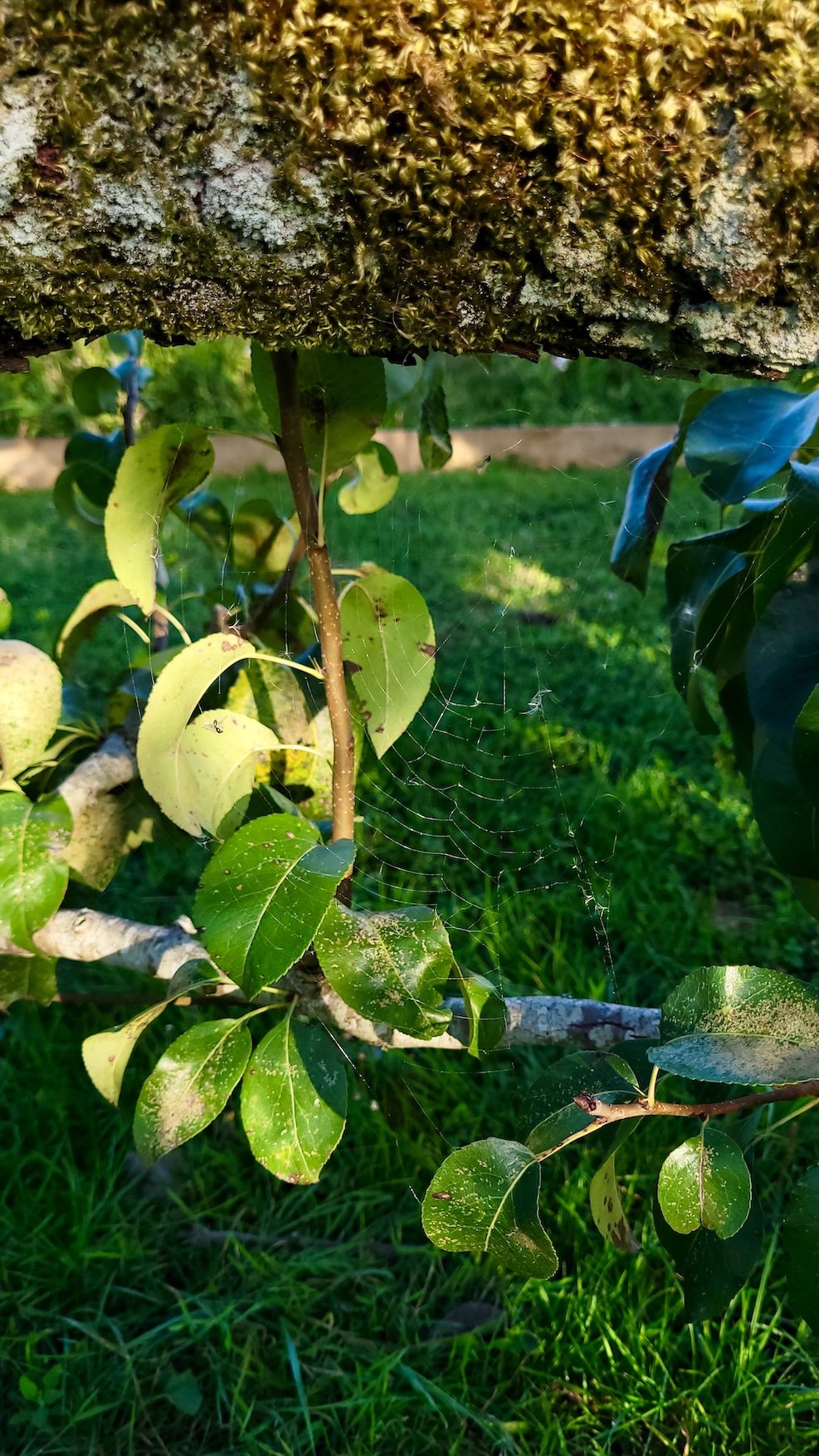 6. 20250906_185952.jpeg