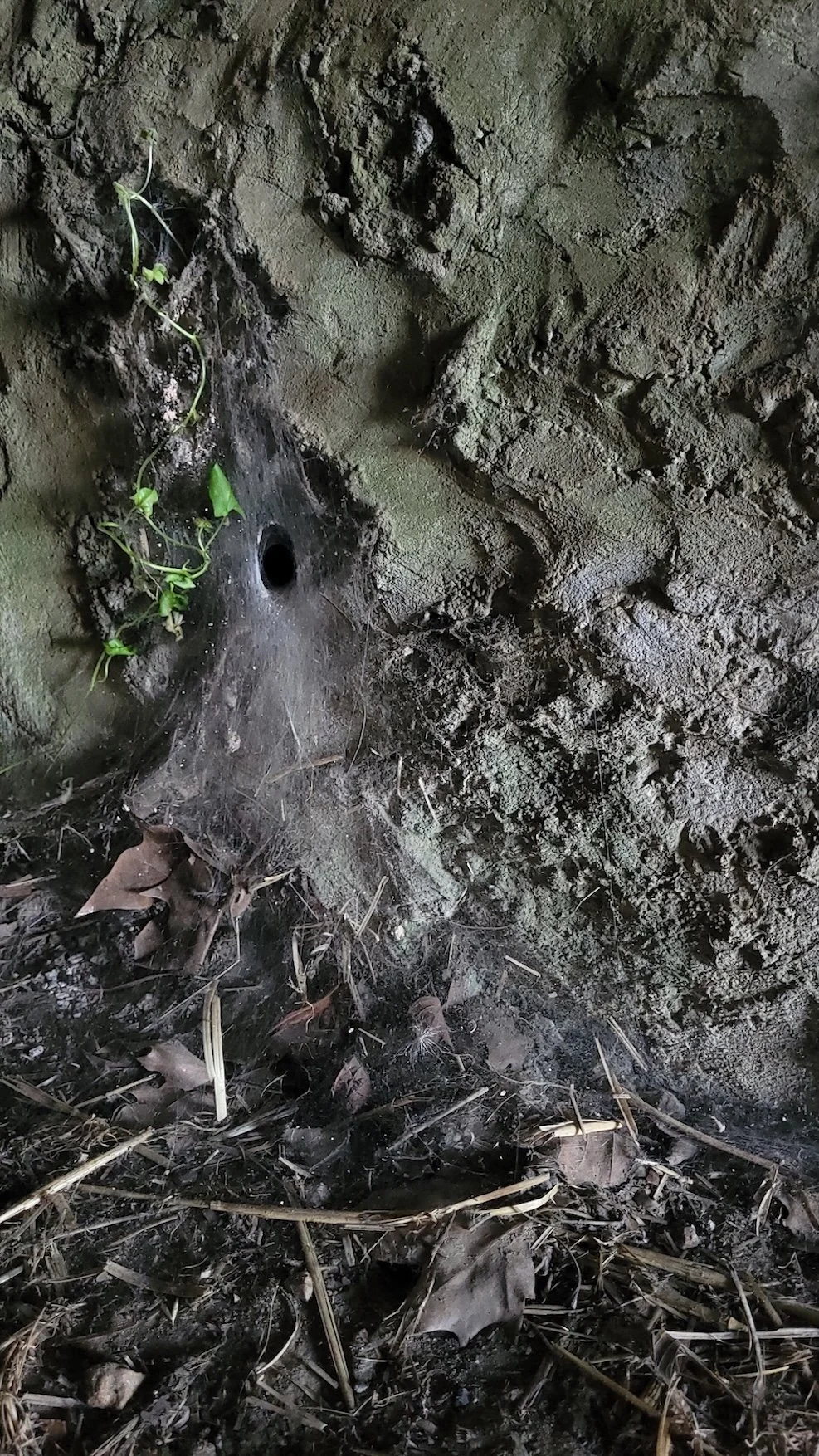 9. 20250906_190637.jpeg