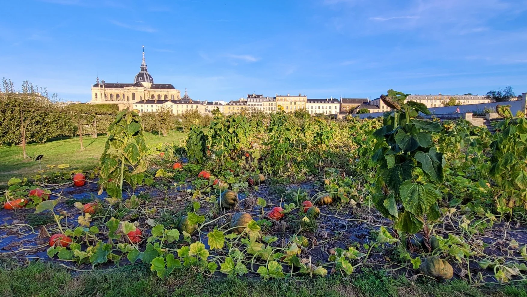 10. 20250906_190856.jpeg