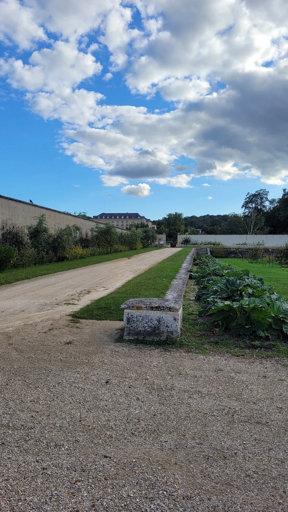 12. 20250905_181251.jpeg