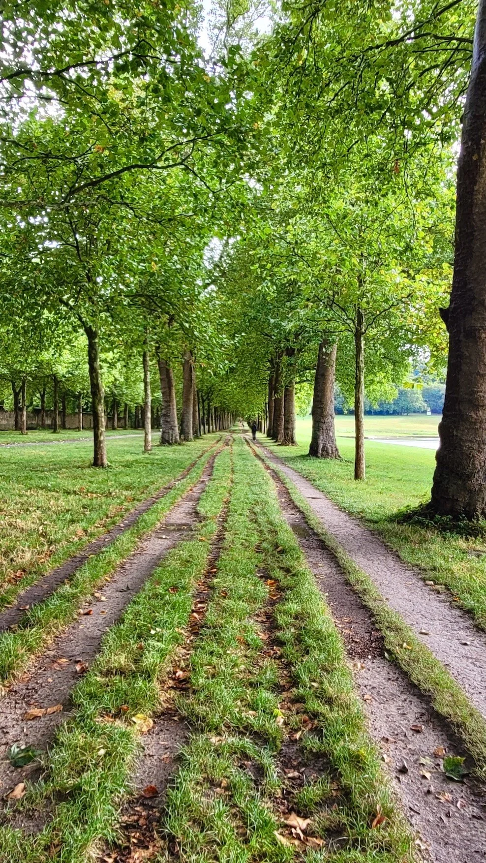 15. 20250902_181221.jpeg