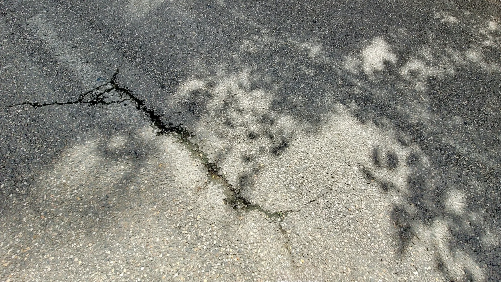 9. 20230701_110451.jpeg