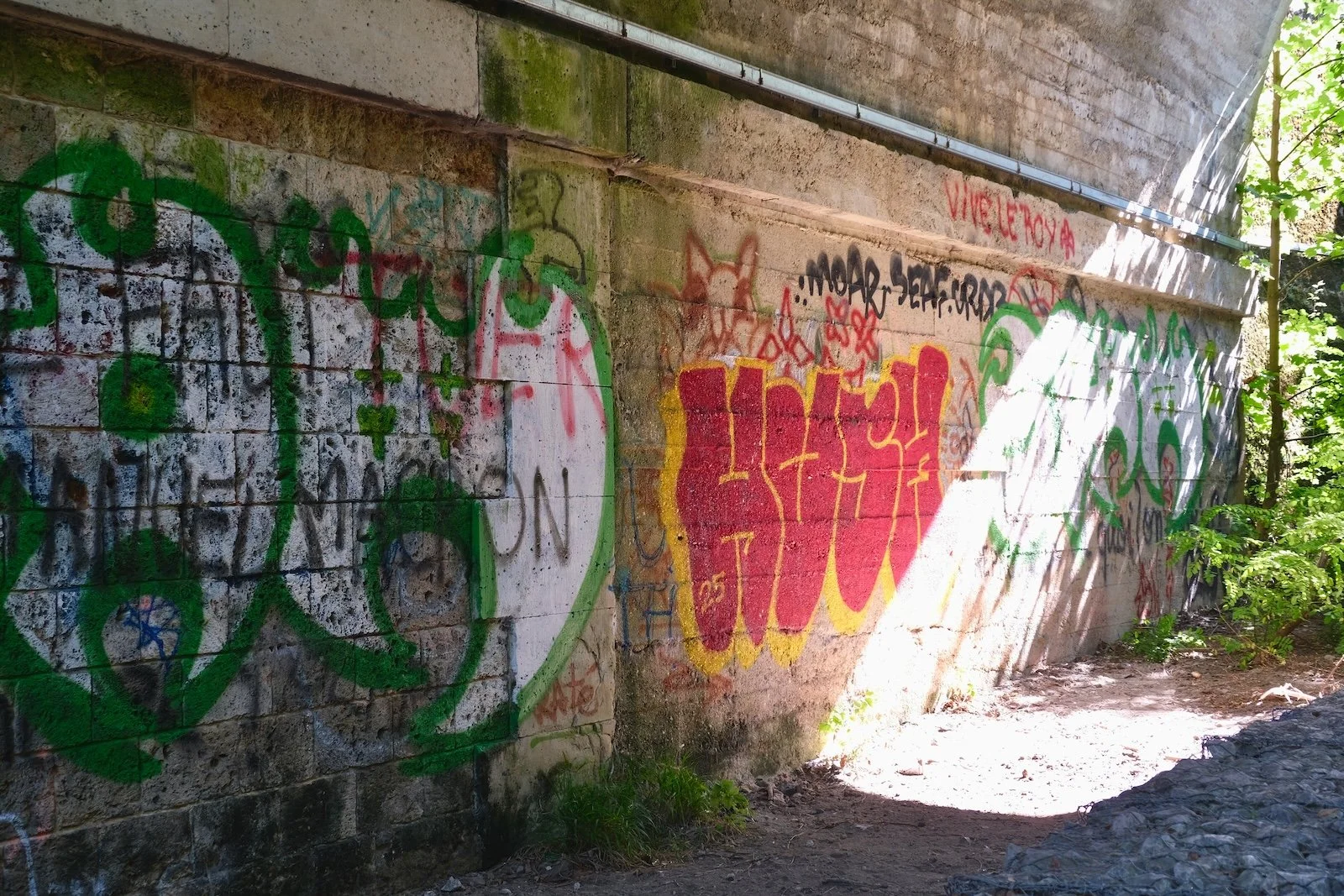  © Florian Seimpere · Plastique Danse Flore 