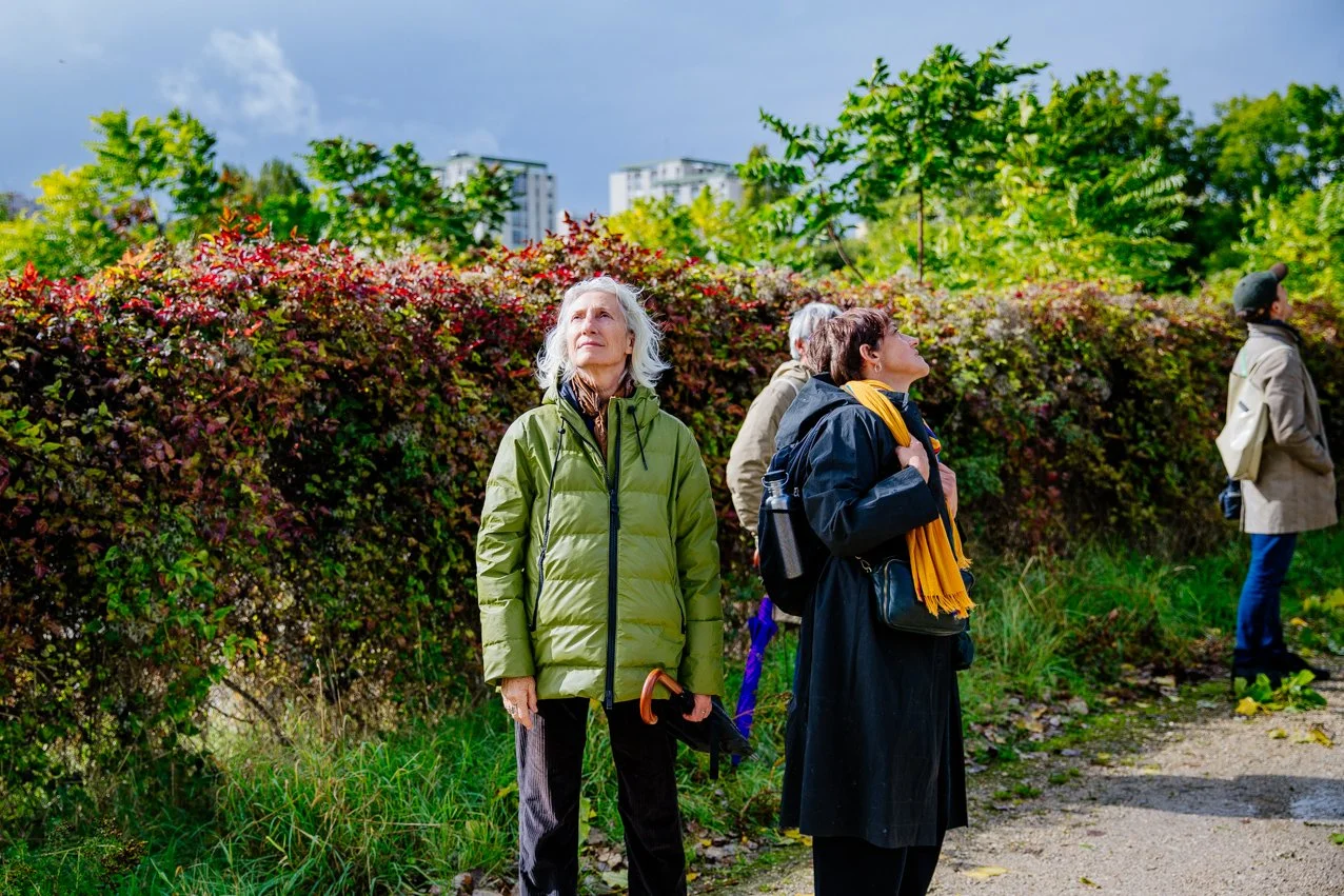  © Roxanne Gauthier · Festival Entre cour et jardins, Dijon 