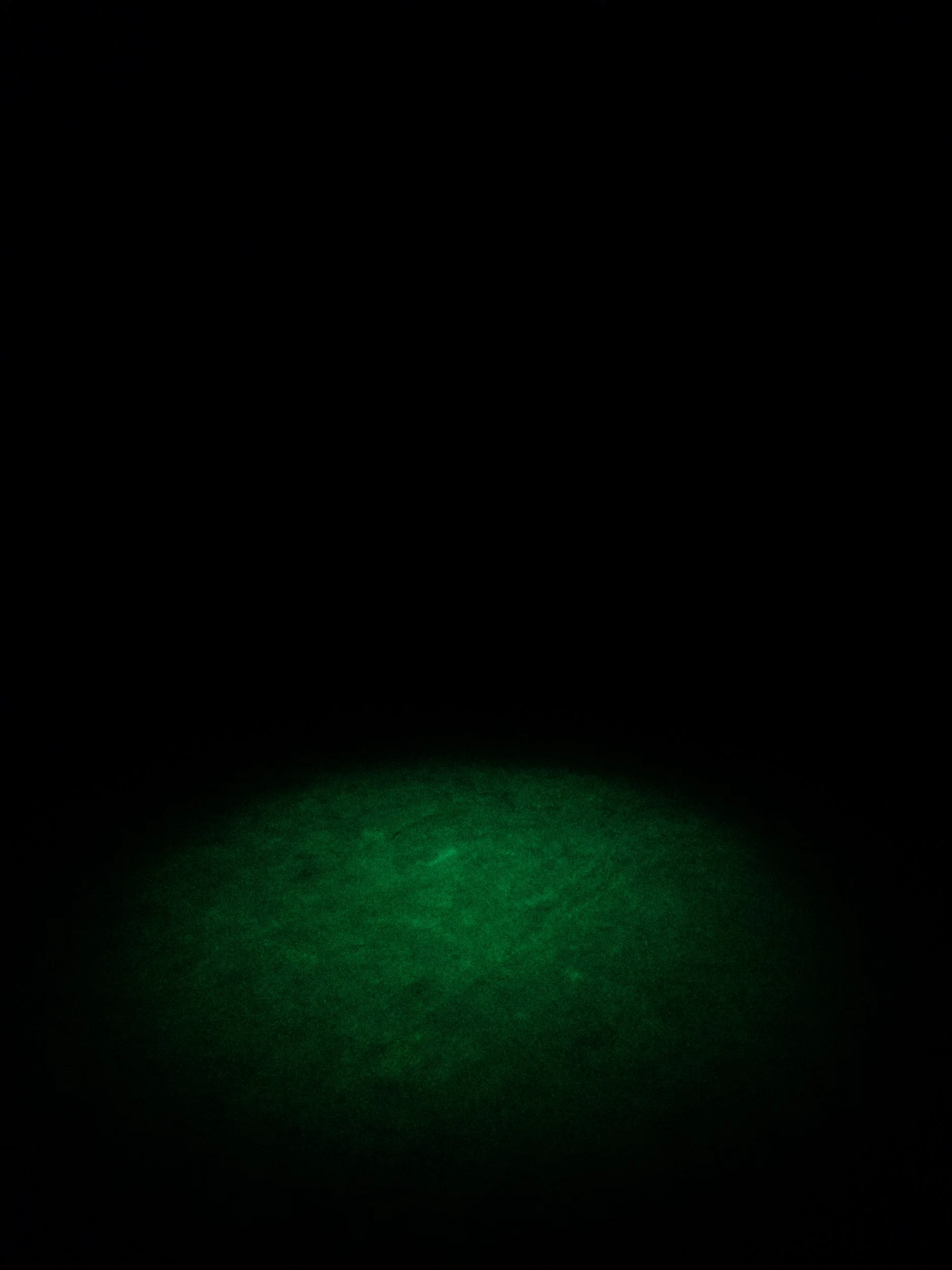 20240228_144401 (2).jpeg