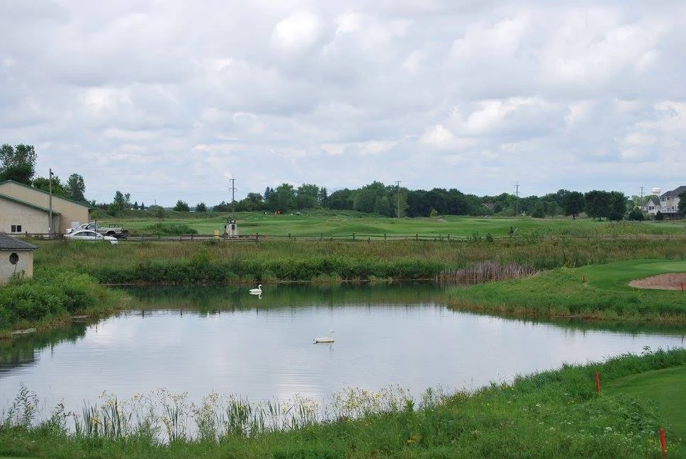 163.jpg