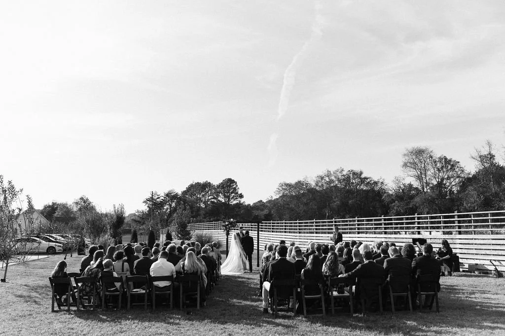  photo courtesy of  Meghan Melia  