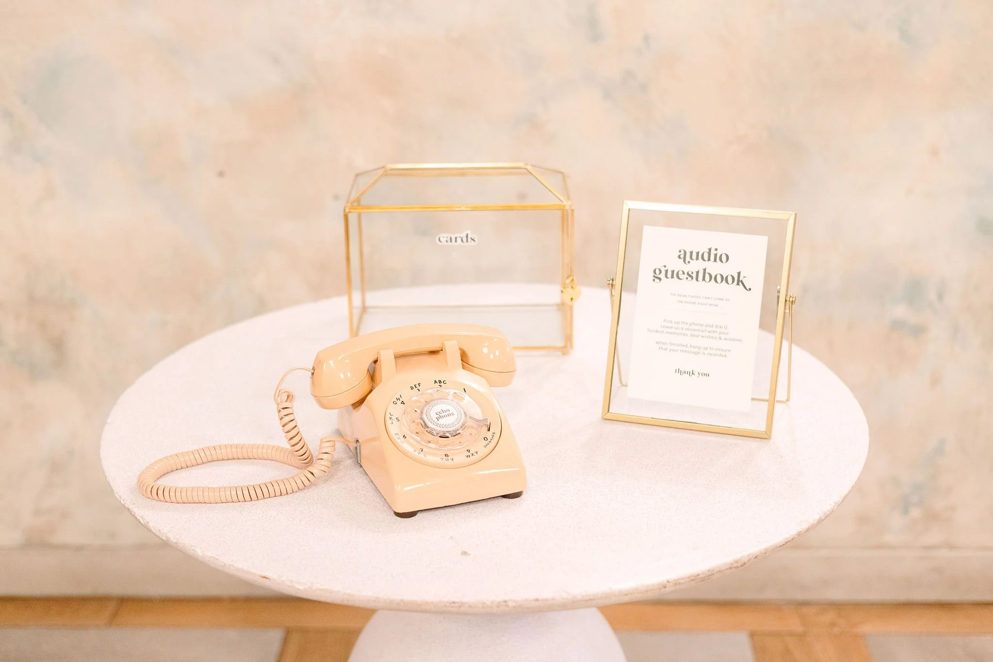  photo courtesy of  Brindamour Studios  