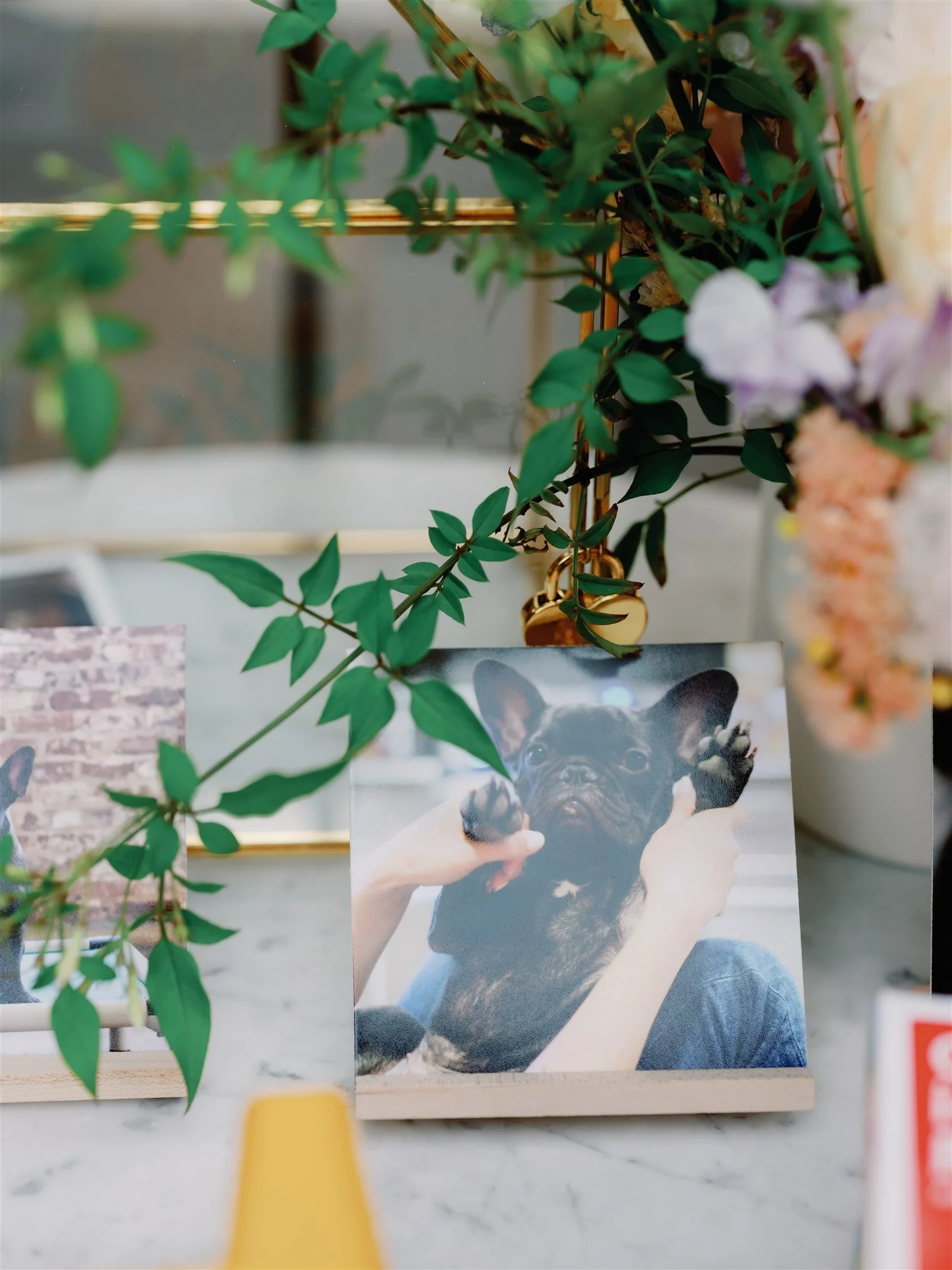  photo courtesy of  Jenny Fu  