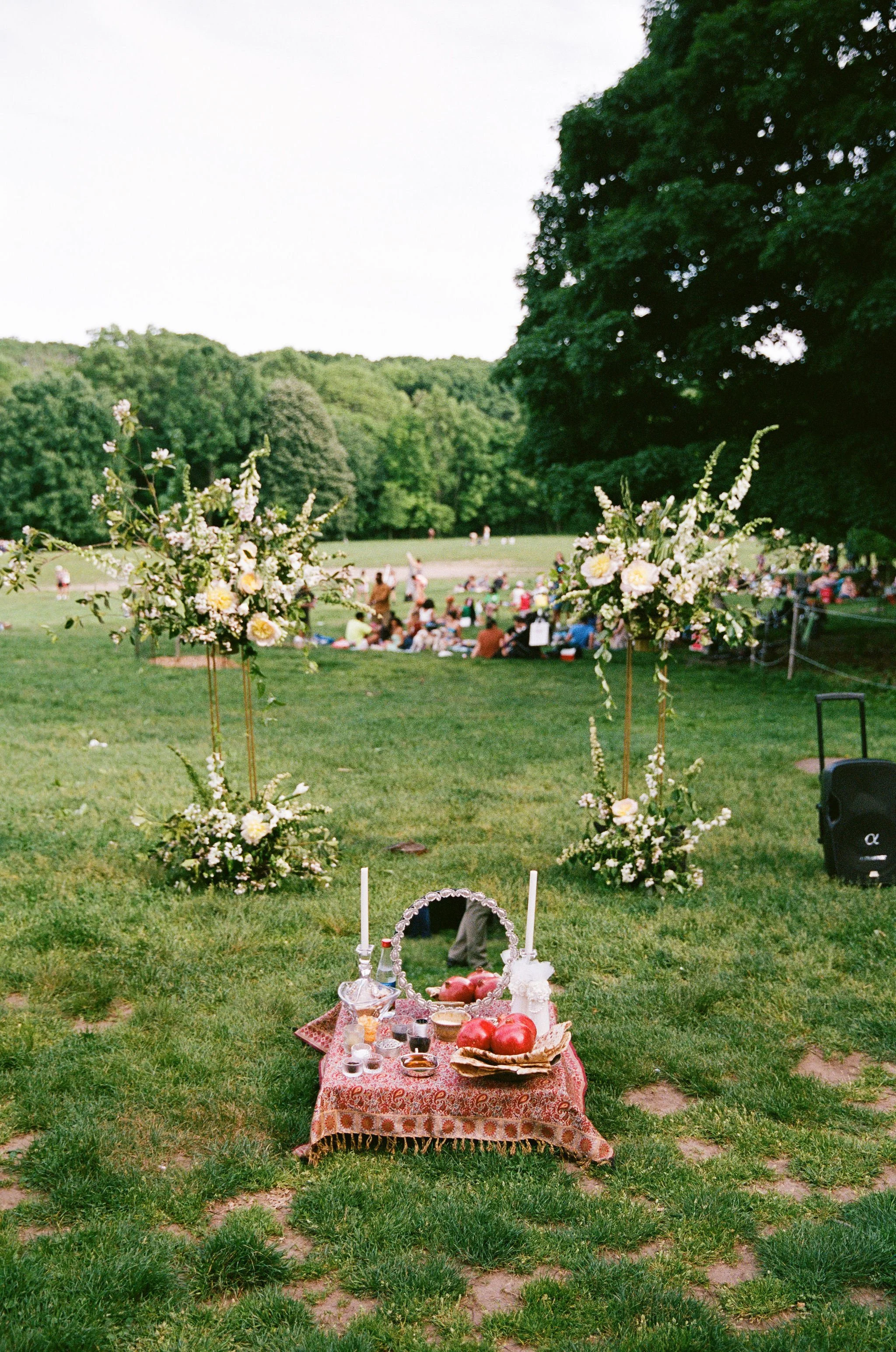  photo courtesy of  Jules Miranda  