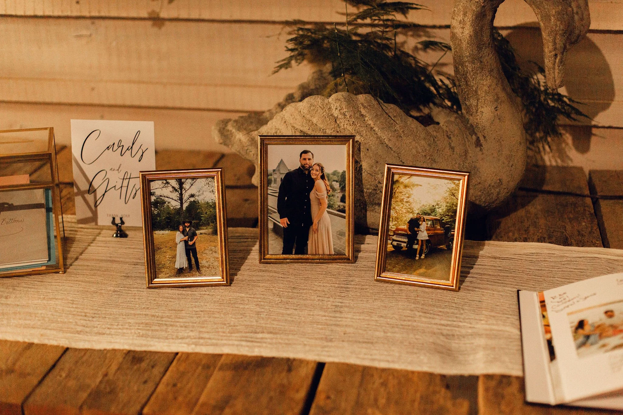  photo courtesy of  Andrew Allen Morton Photography  