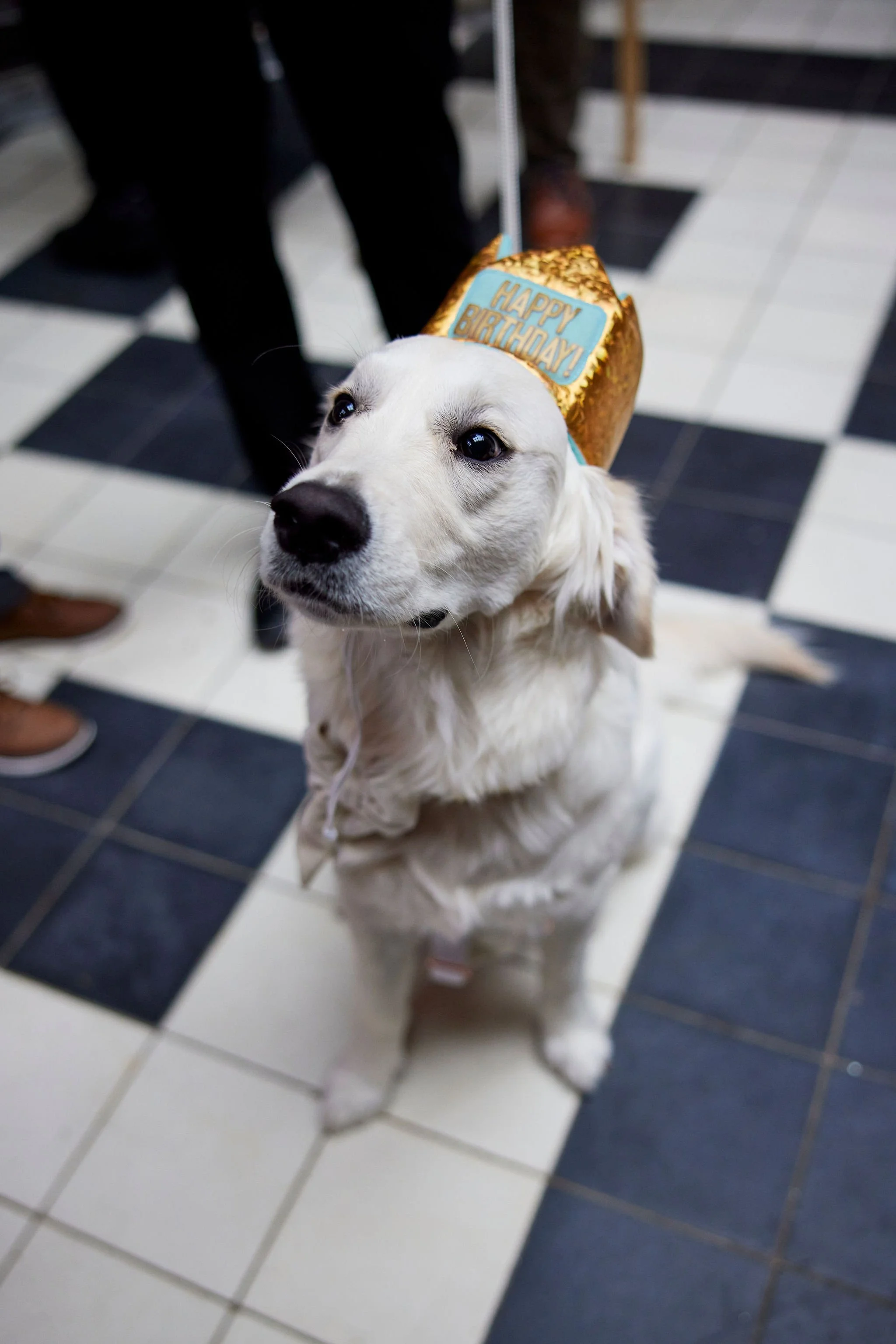  photo courtesy of  Jeff Samaniego Photography  