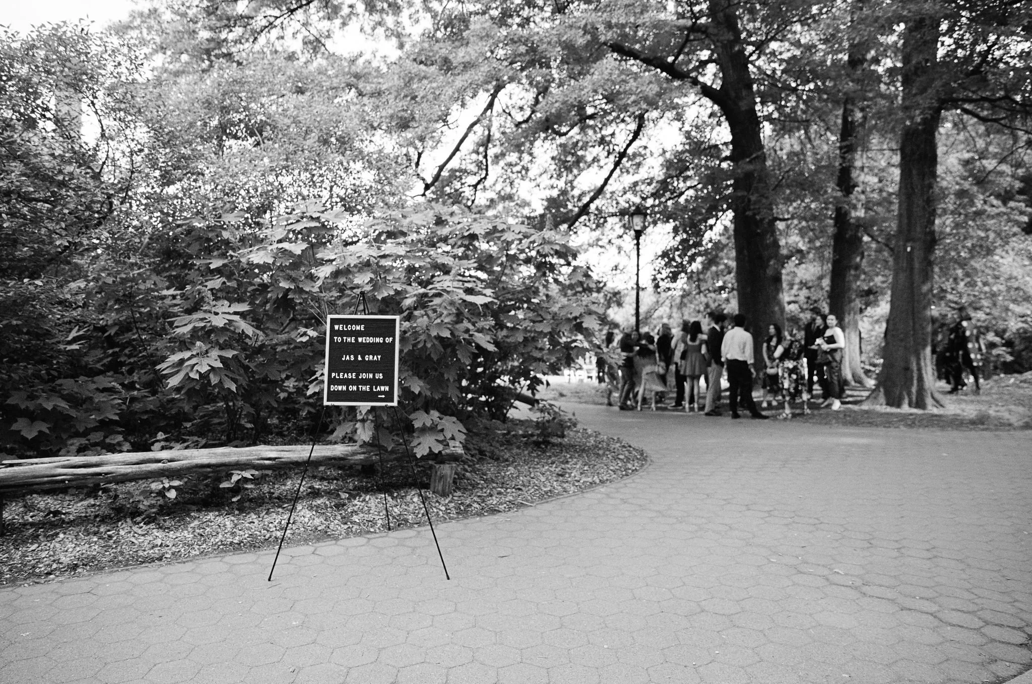  photo courtesy of  Jules Miranda  