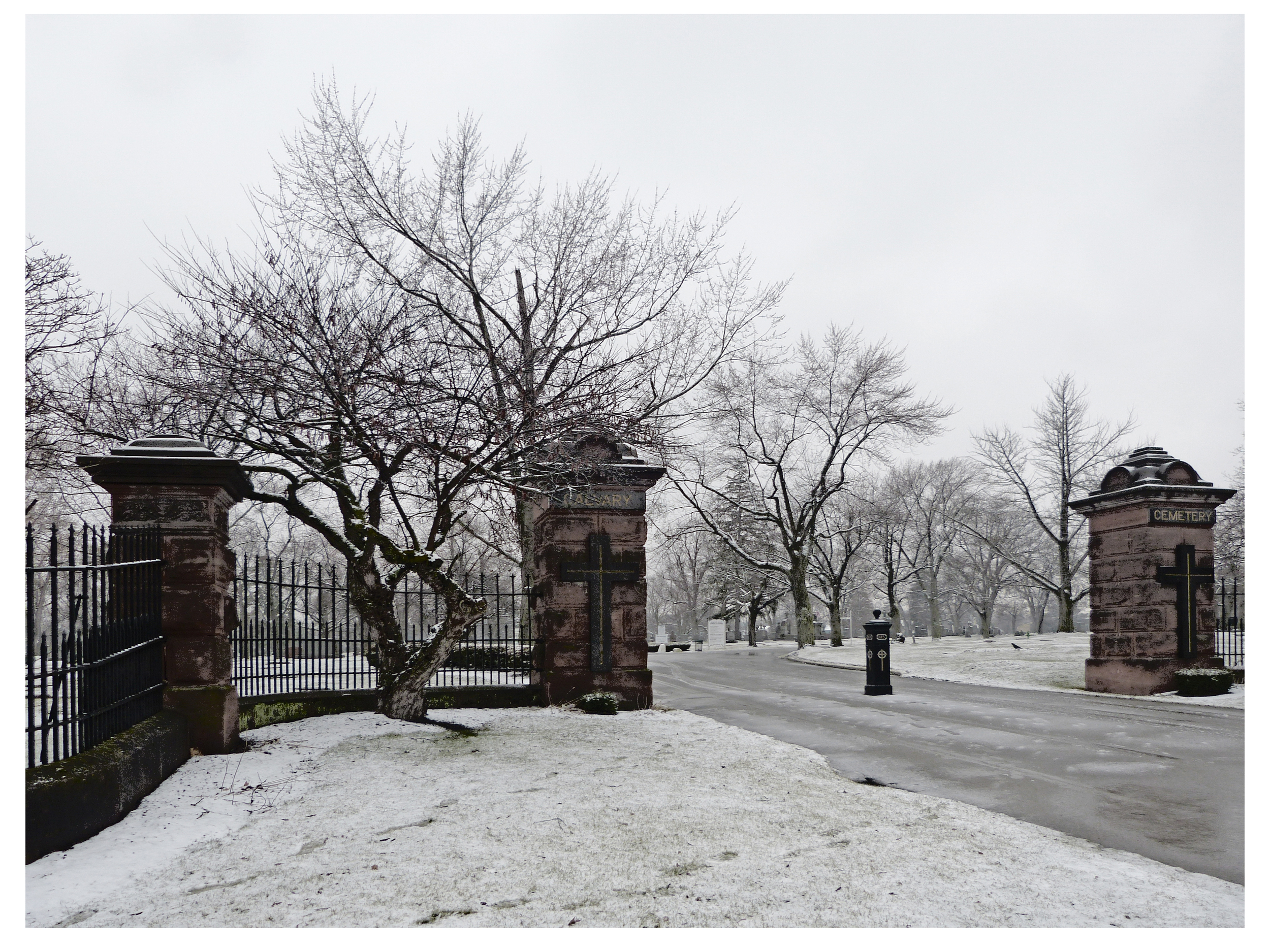 Calvary Cemetary.jpg