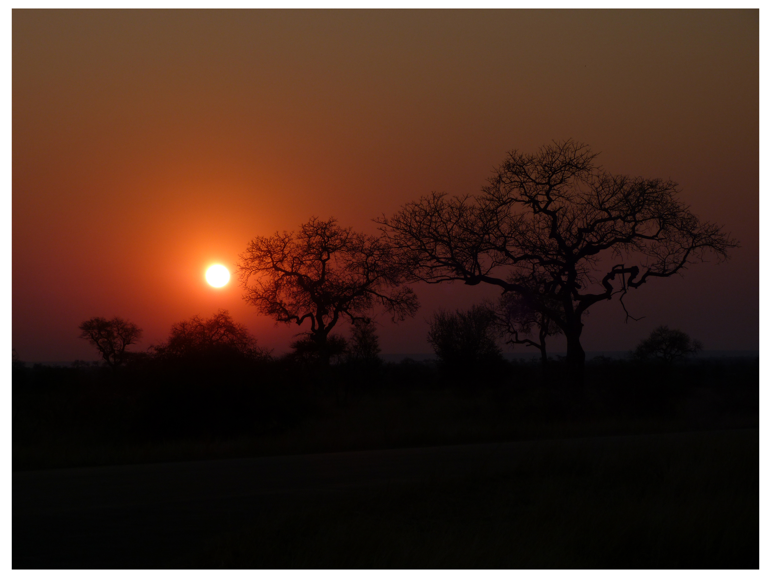 Near Satara, Kruger National Park