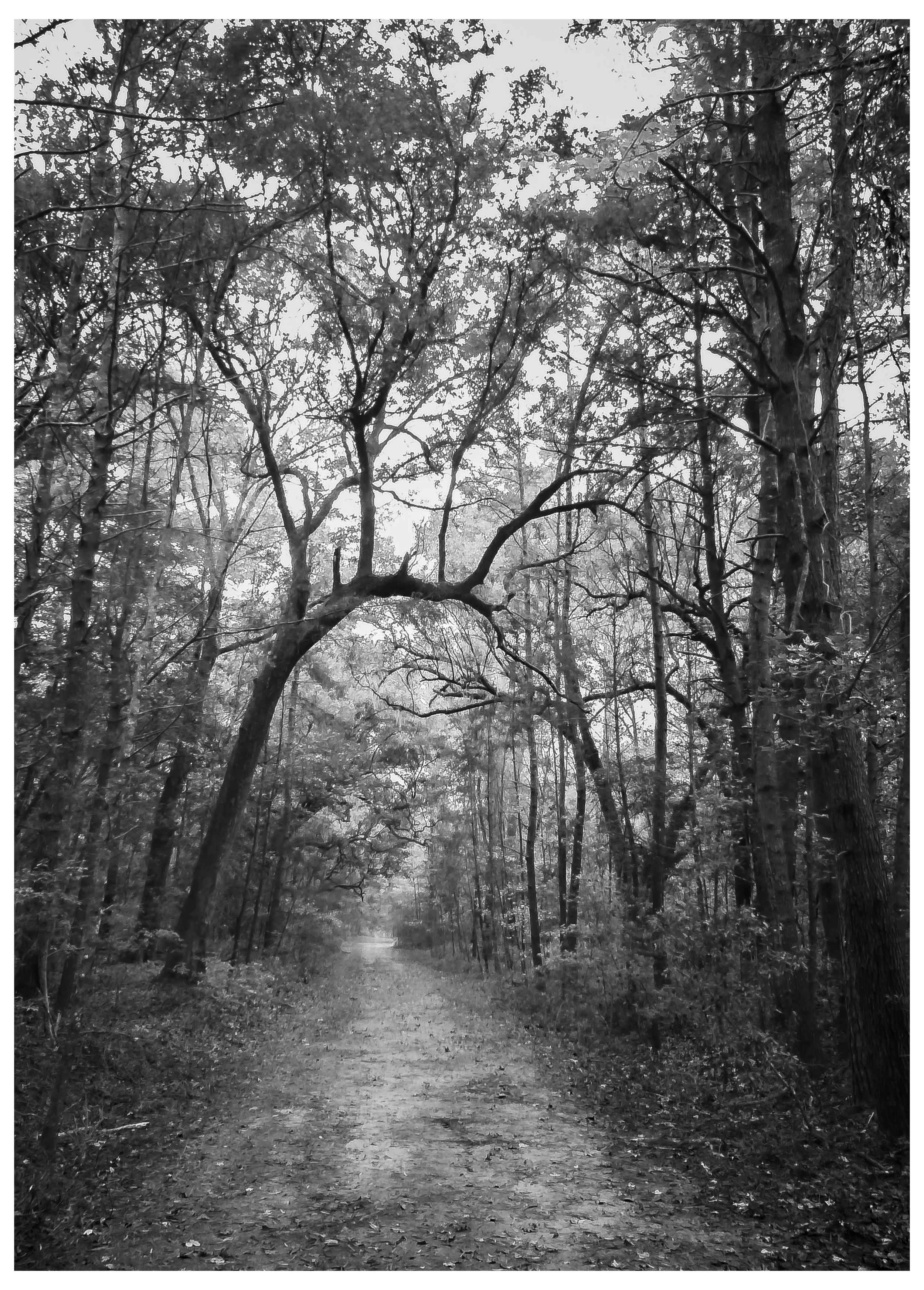 Edisto Island, South Carolina